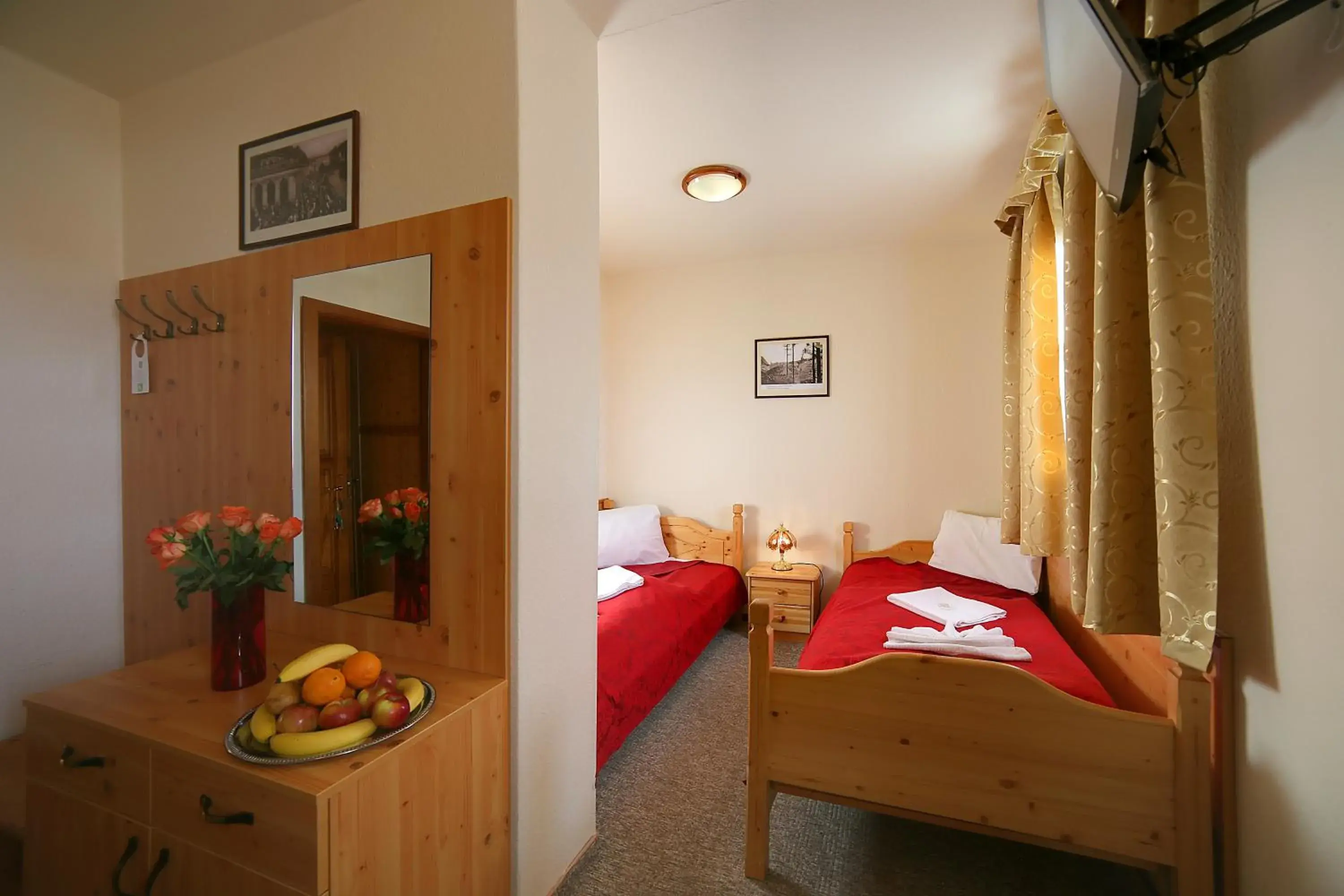 Twin Room in Hotel Zelený Dům Twin Room in Hotel Zelený Dům