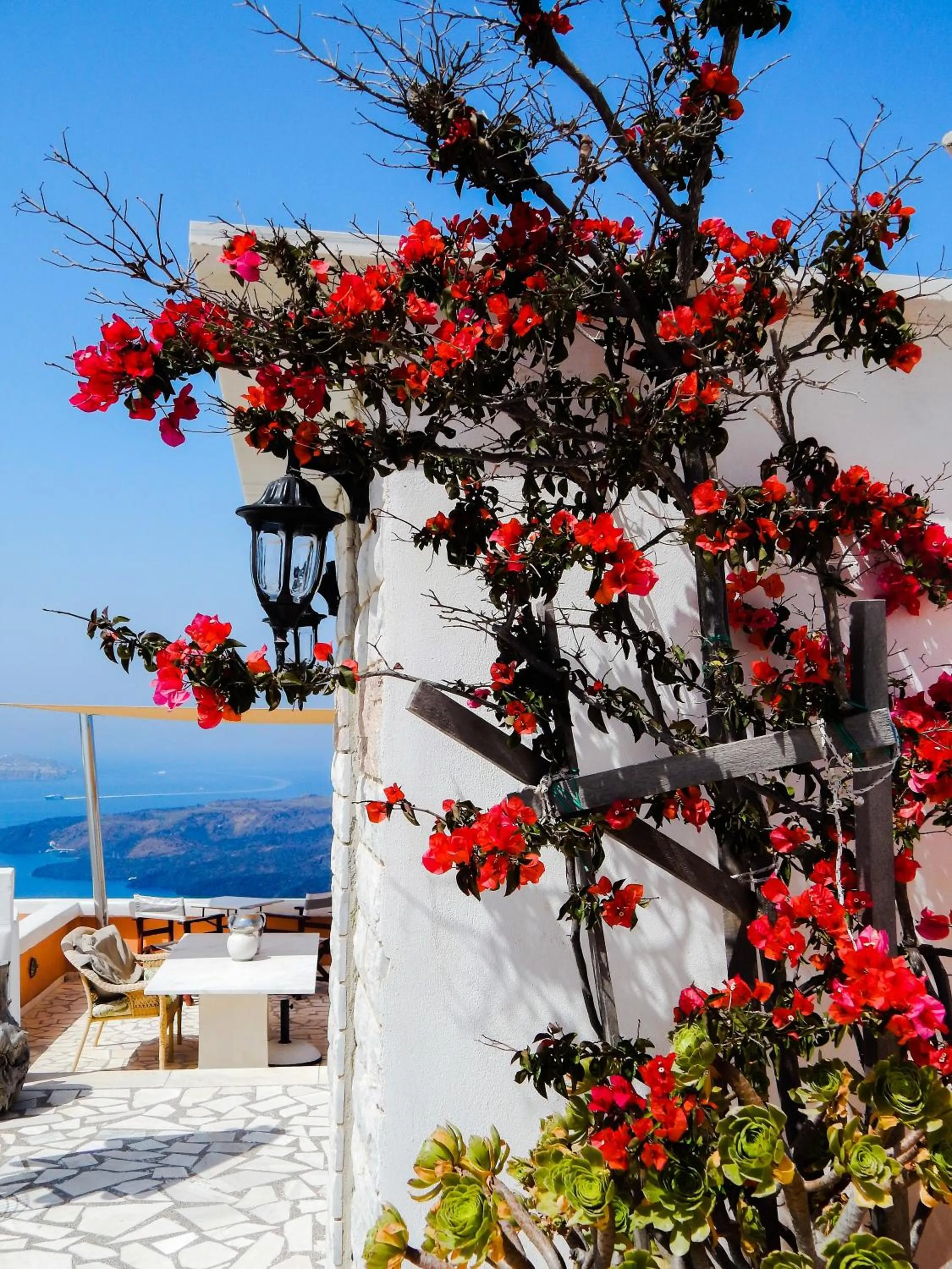 Le Petit Greek