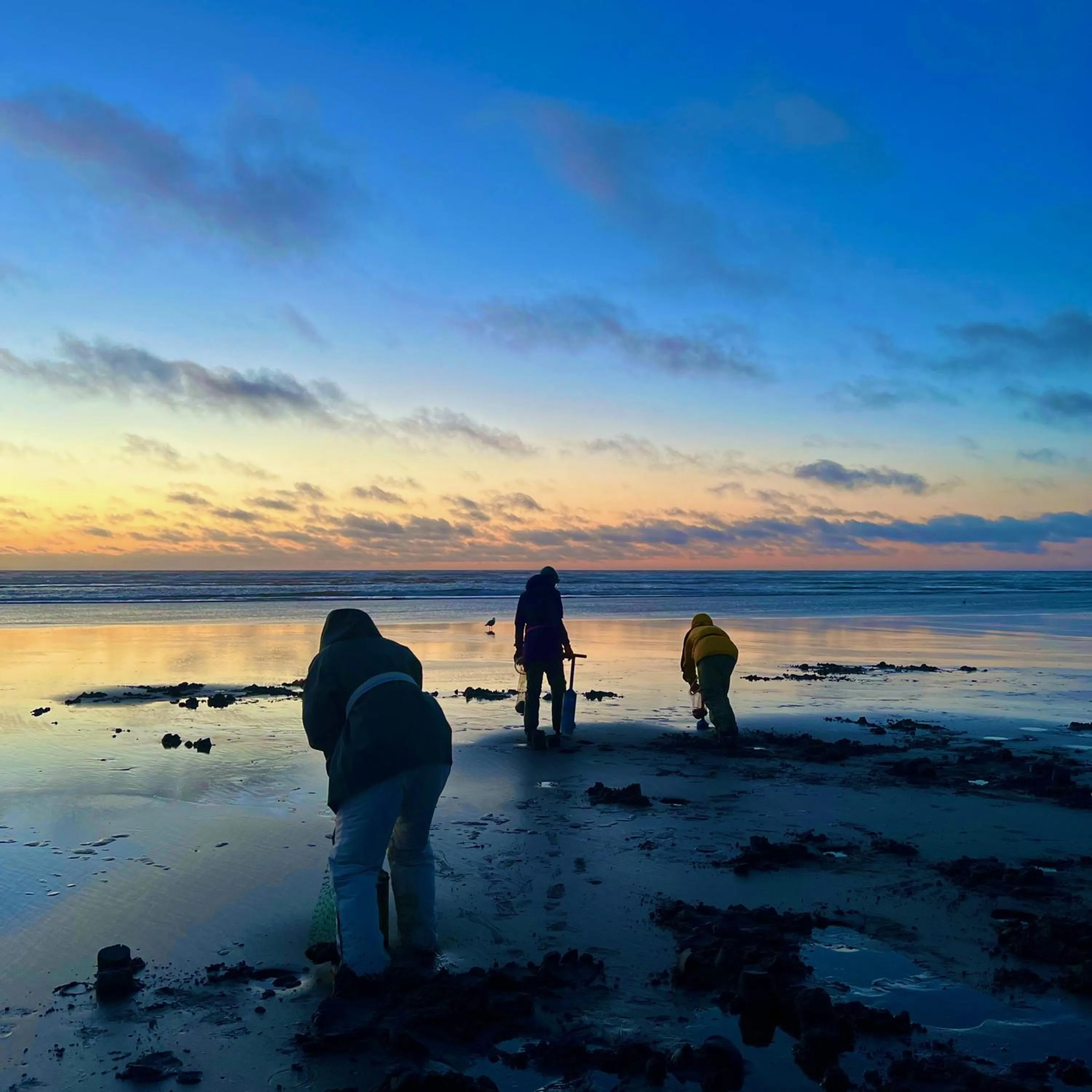 Natural landscape in Lighthouse Oceanfront Resort