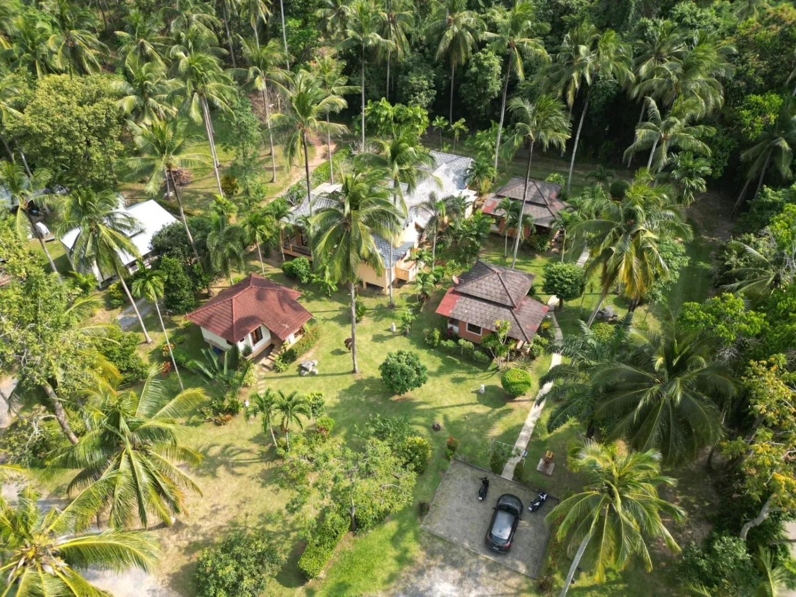 Silent Palm Samui