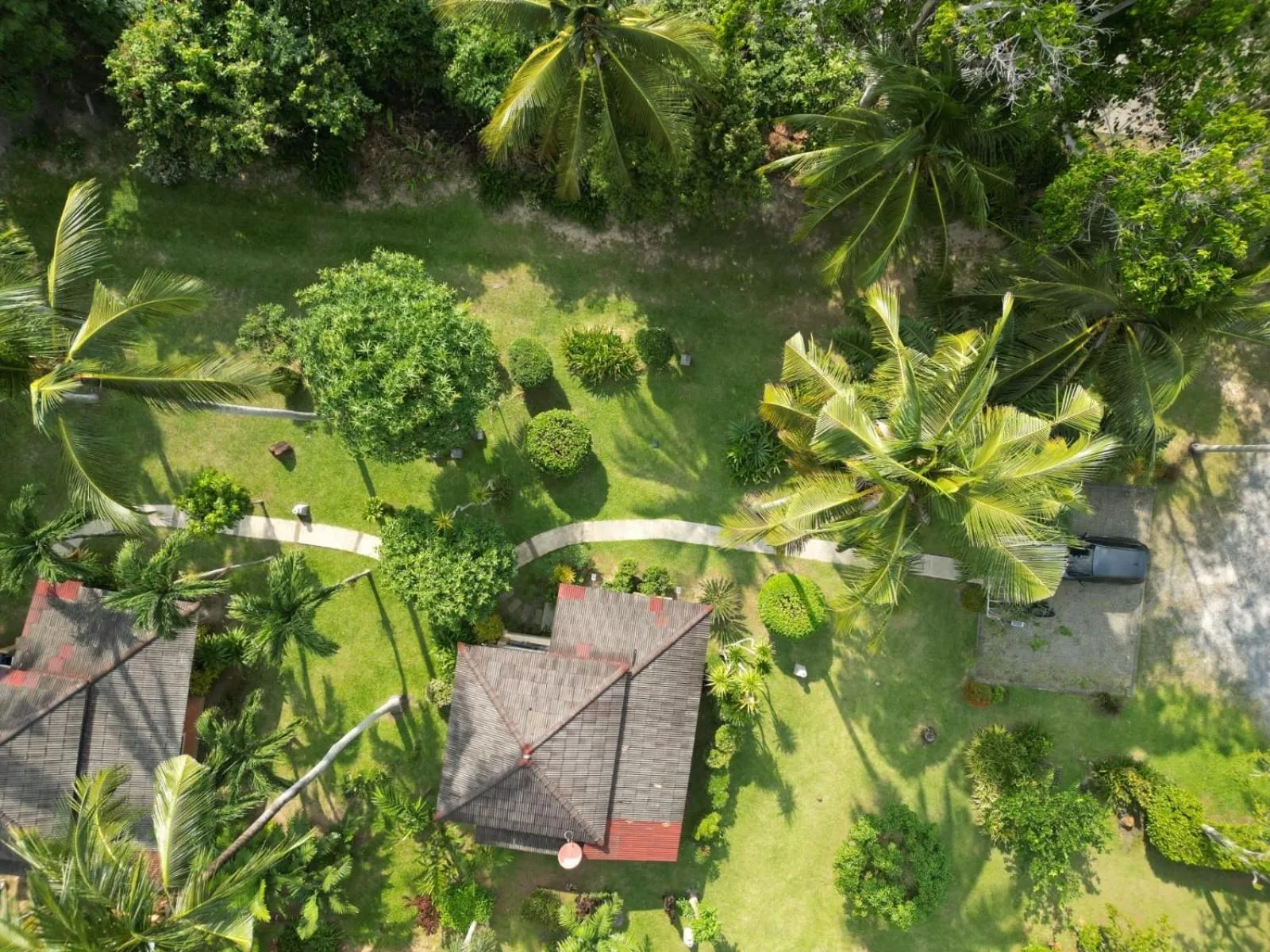 Silent Palm Samui
