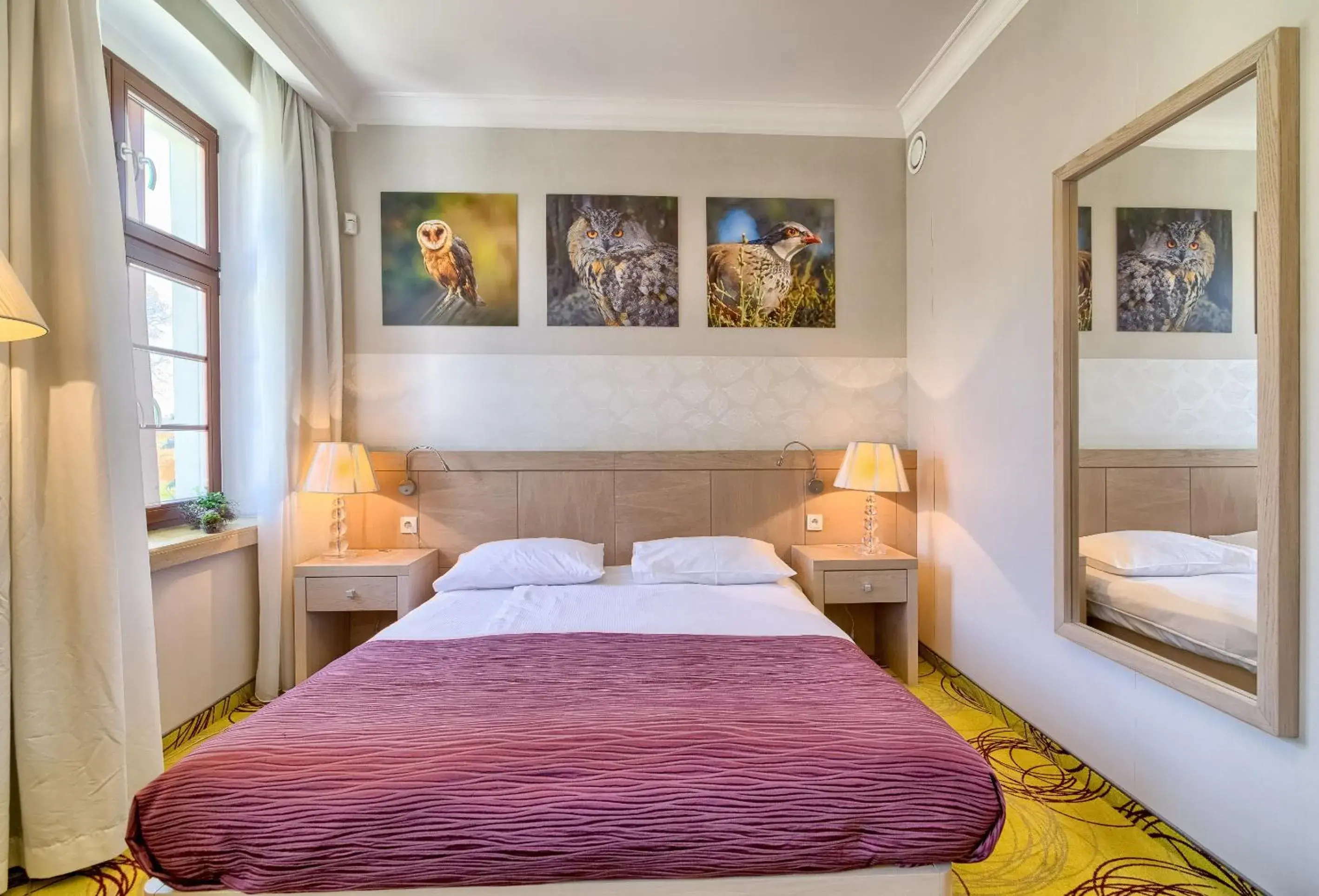 Single Room in Hanza Pałac Wellness & SPA Single Room in Hanza Pałac Wellness & SPA