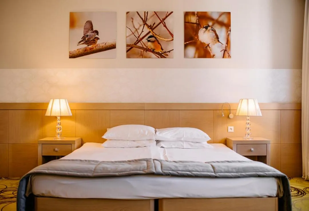 Bed in Hanza Pałac Wellness & SPA