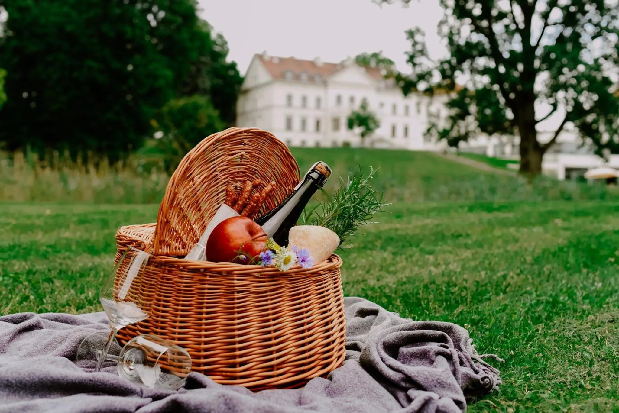 Garden in Hanza Pałac Wellness & SPA