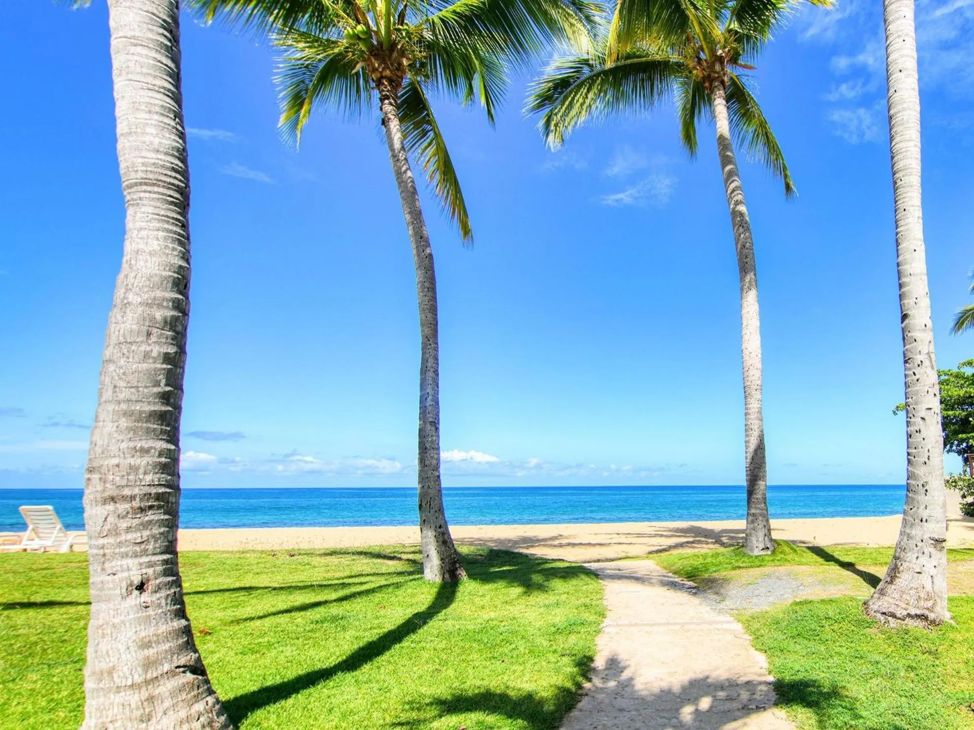 Spring in Rincon of the Seas Grand Caribbean Hotel