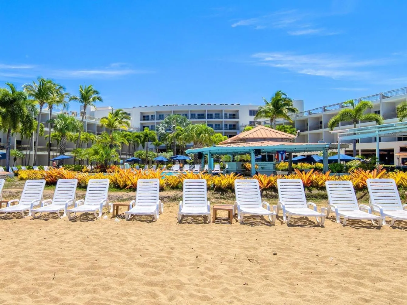 Spring in Rincon of the Seas Grand Caribbean Hotel