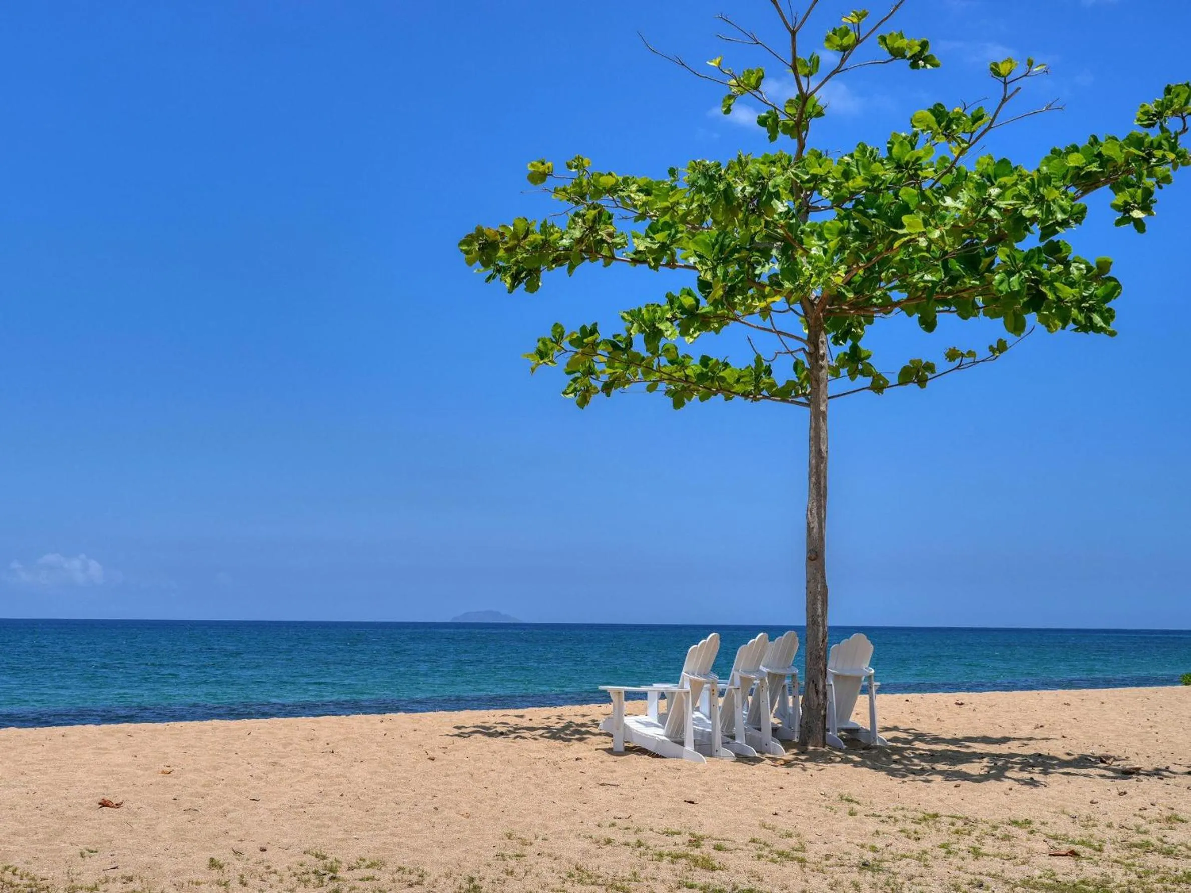 Spring in Rincon of the Seas Grand Caribbean Hotel
