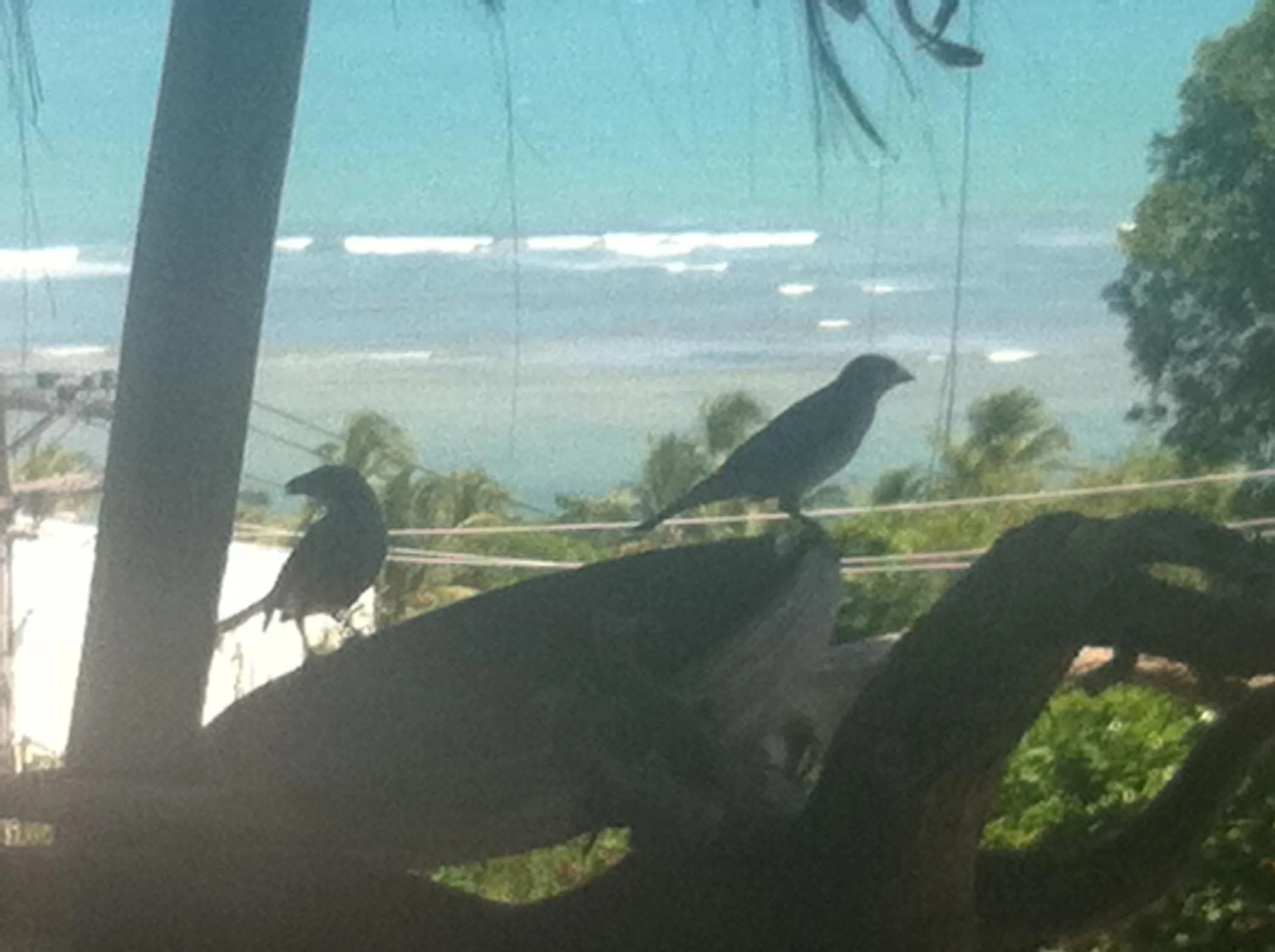 Property building in Novos Baianos Hostel e Pousada