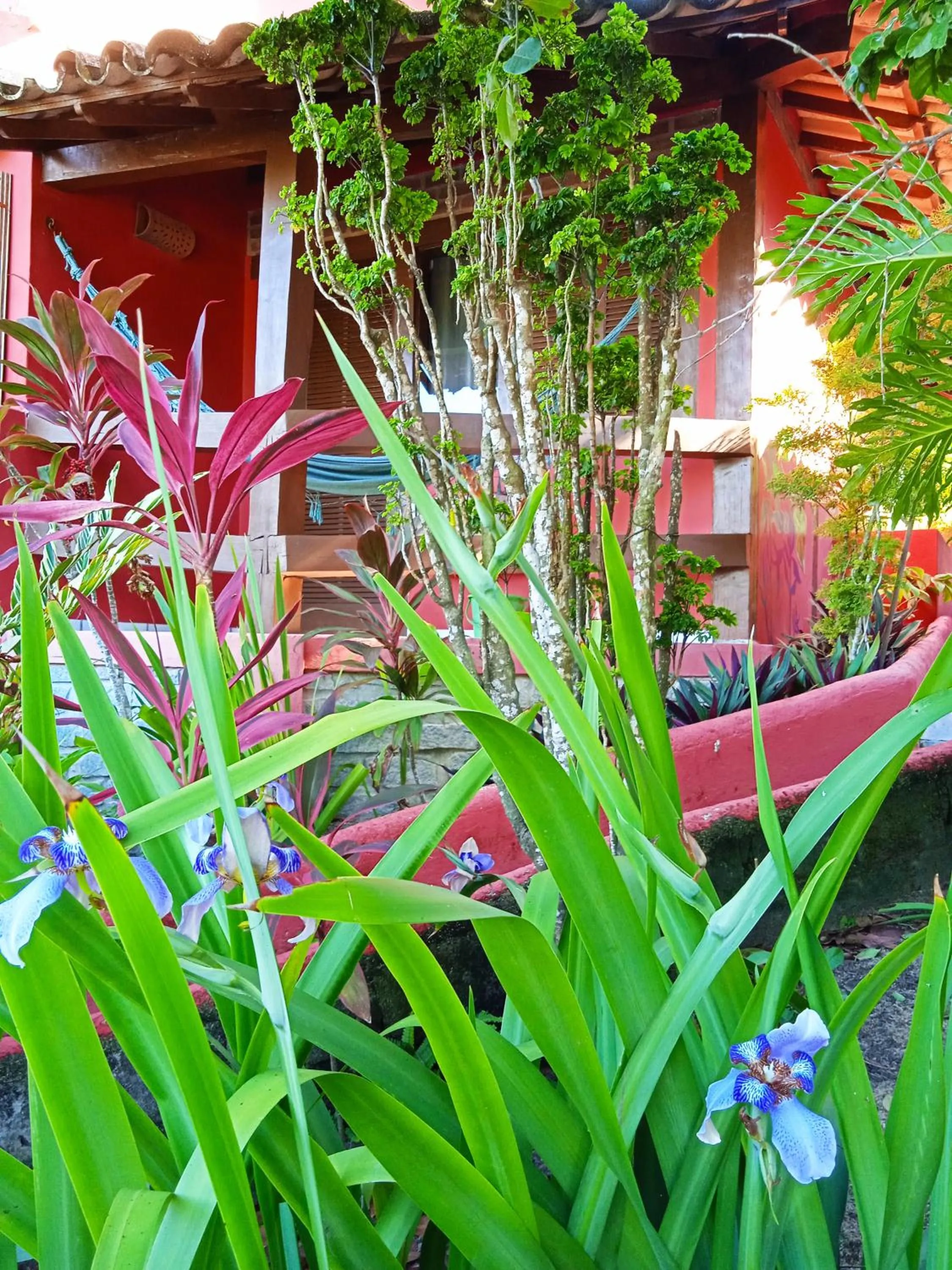 Garden view in Novos Baianos Hostel e Pousada