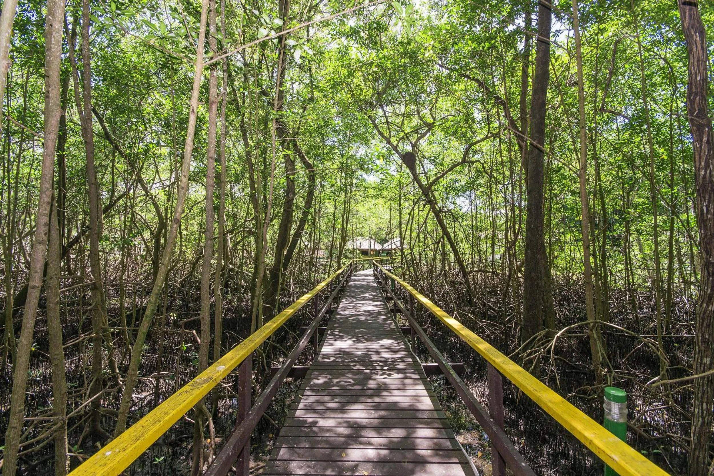 Other in Transamerica Comandatuba - All Inclusive Resort