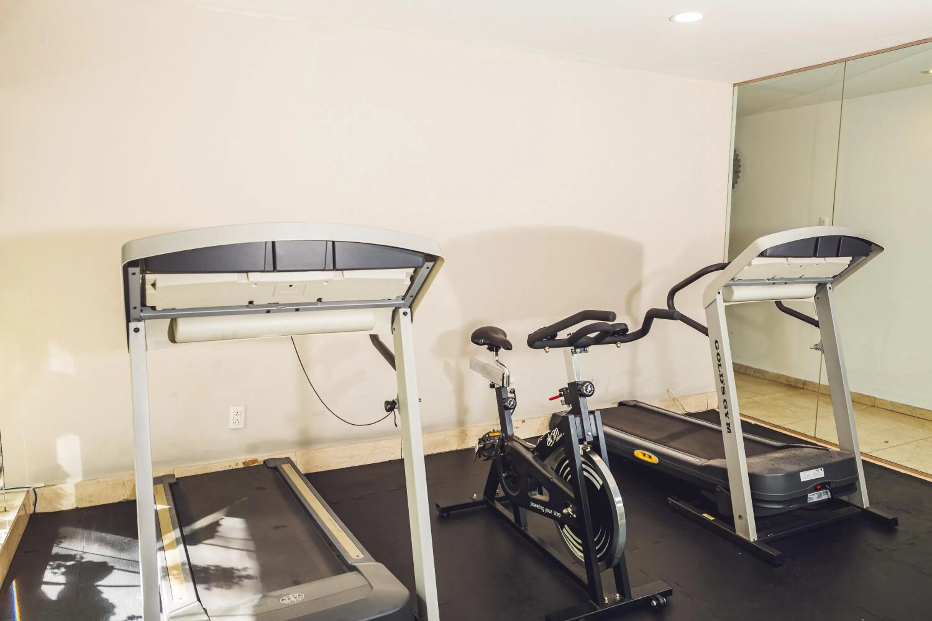 Fitness centre/facilities in Suites Parioli
