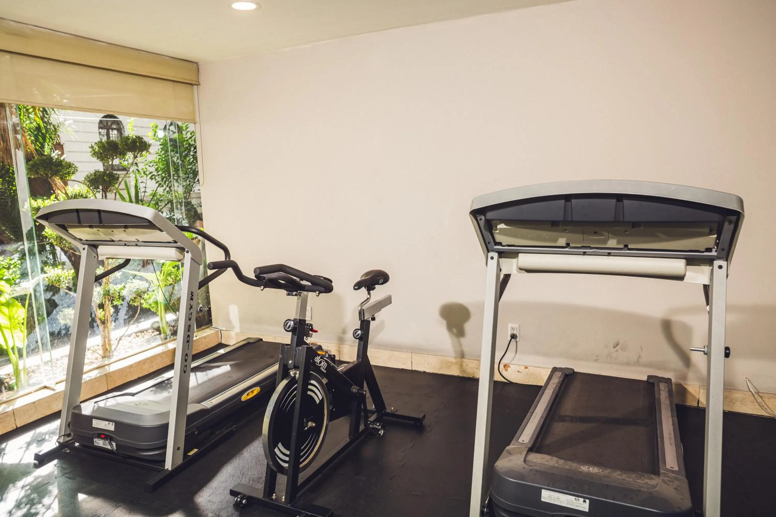 Fitness centre/facilities in Suites Parioli