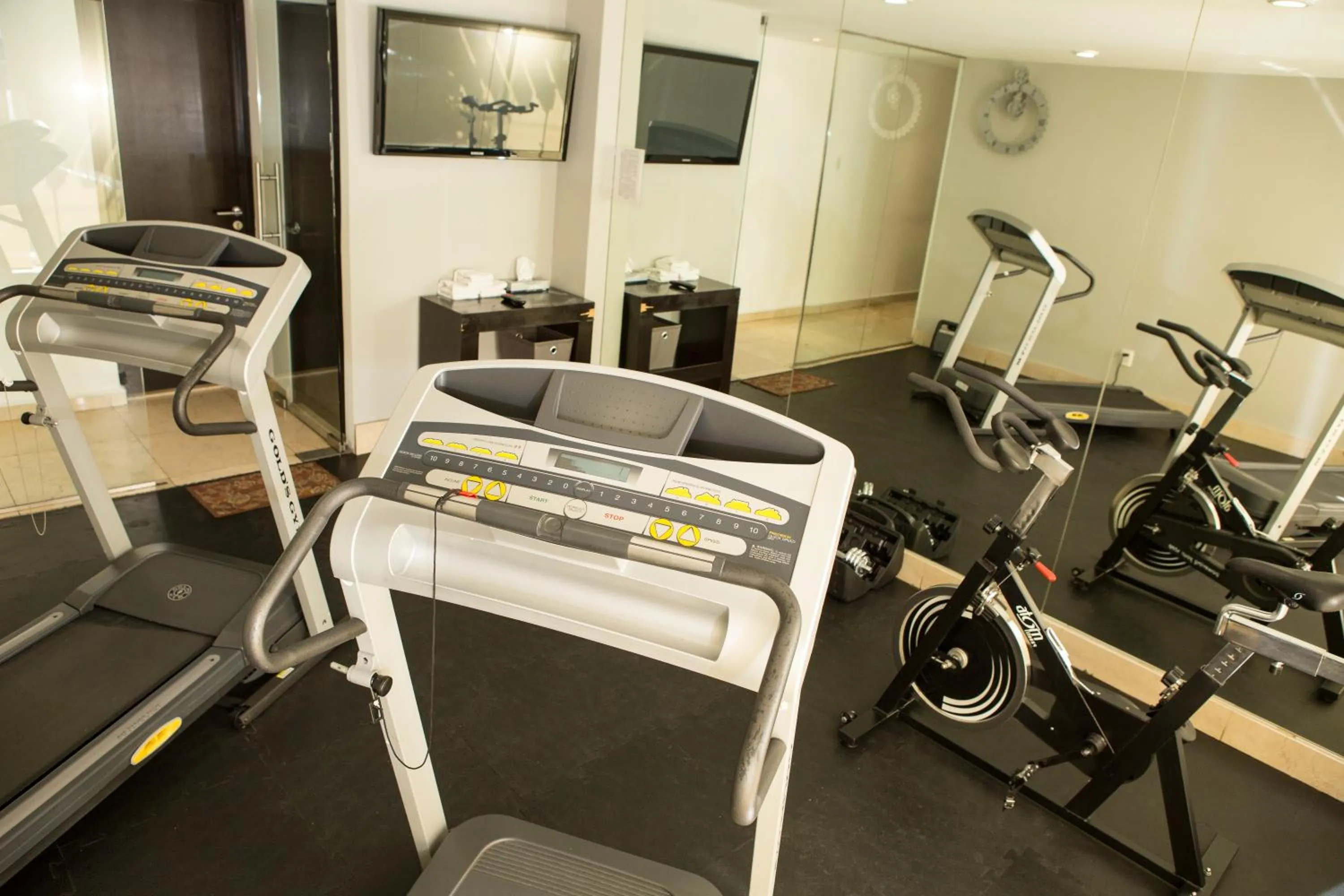 Fitness centre/facilities in Suites Parioli