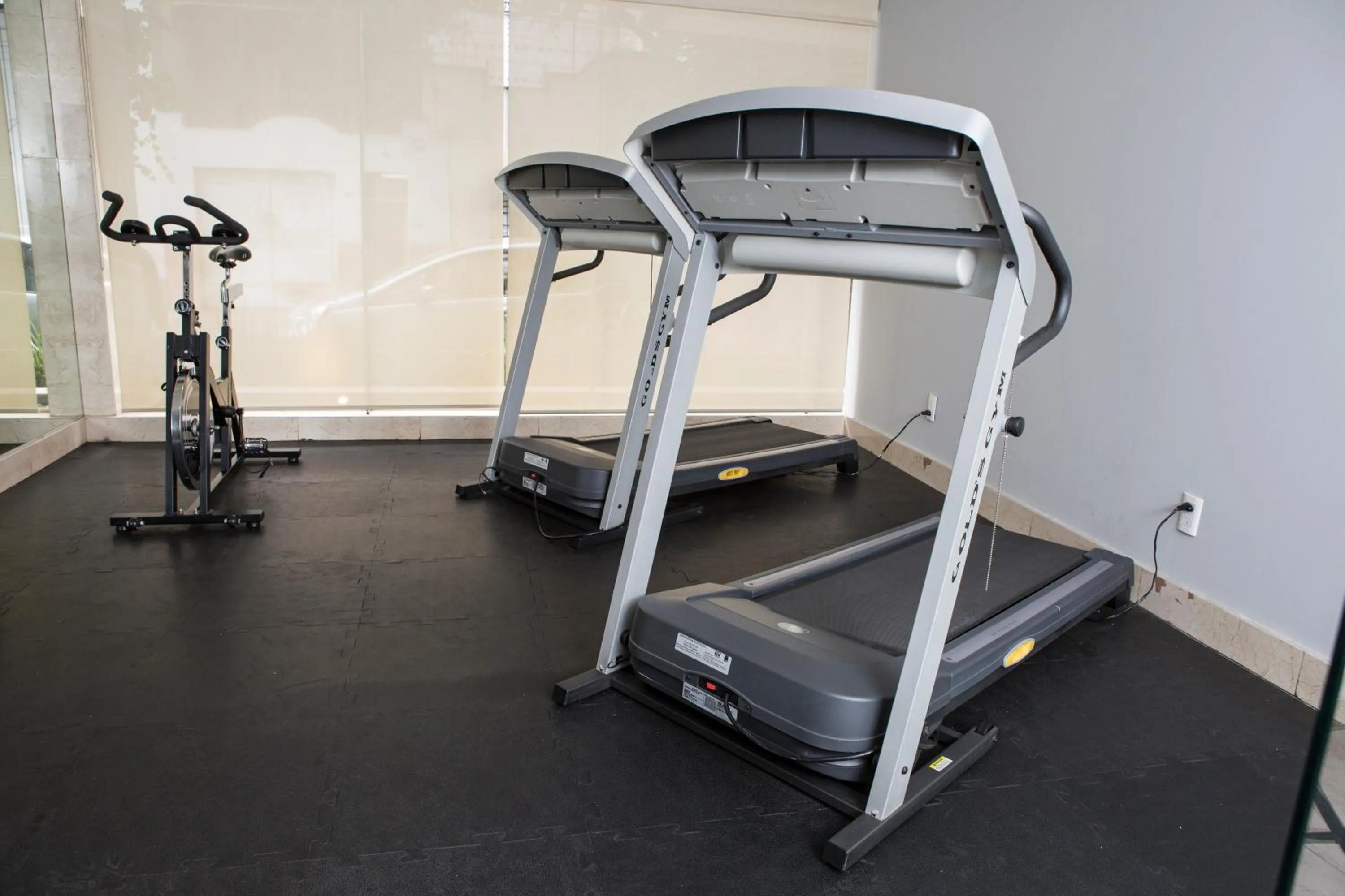 Fitness centre/facilities in Suites Parioli