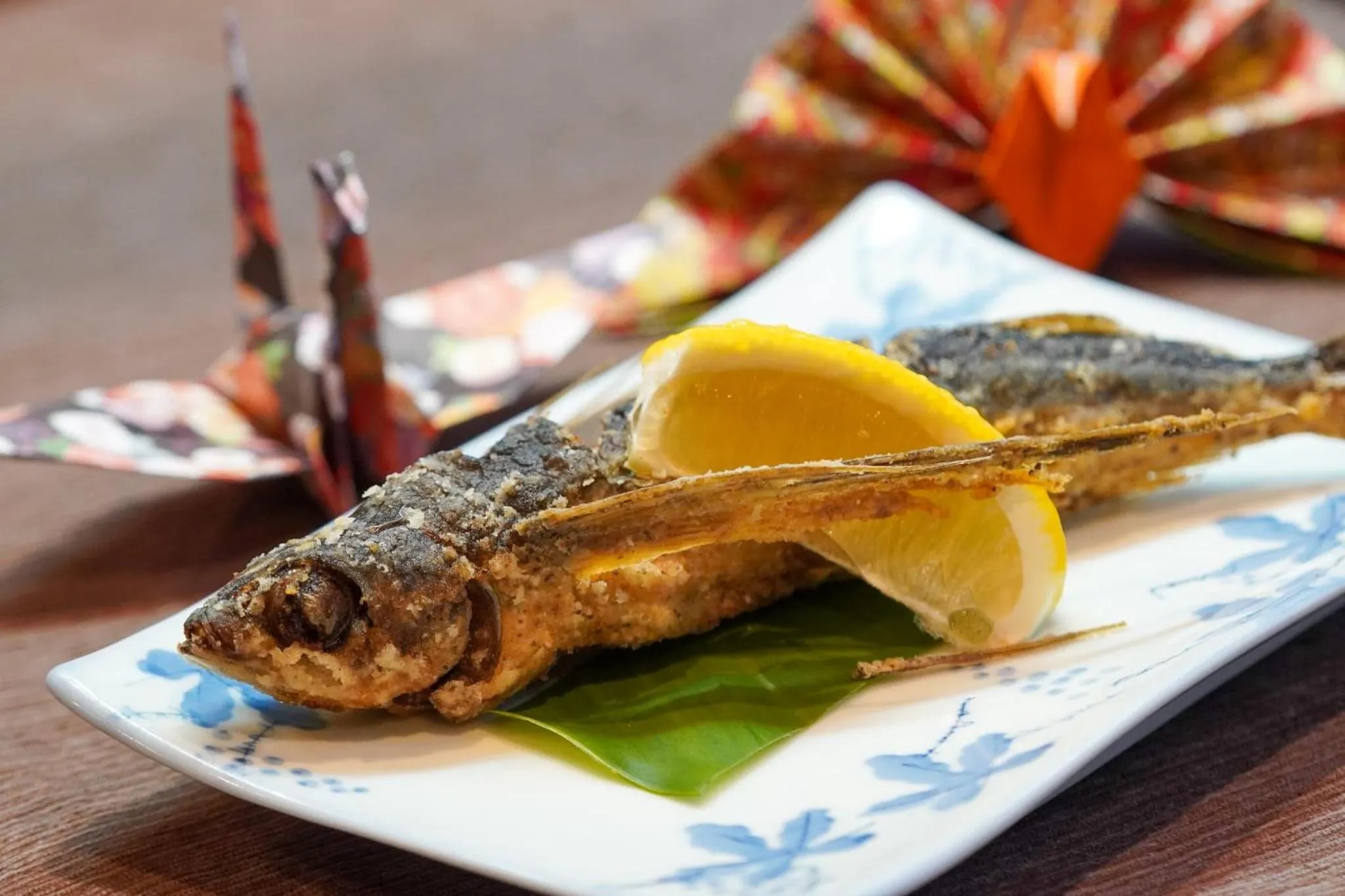 Dinner in Marine Blue Yakushima