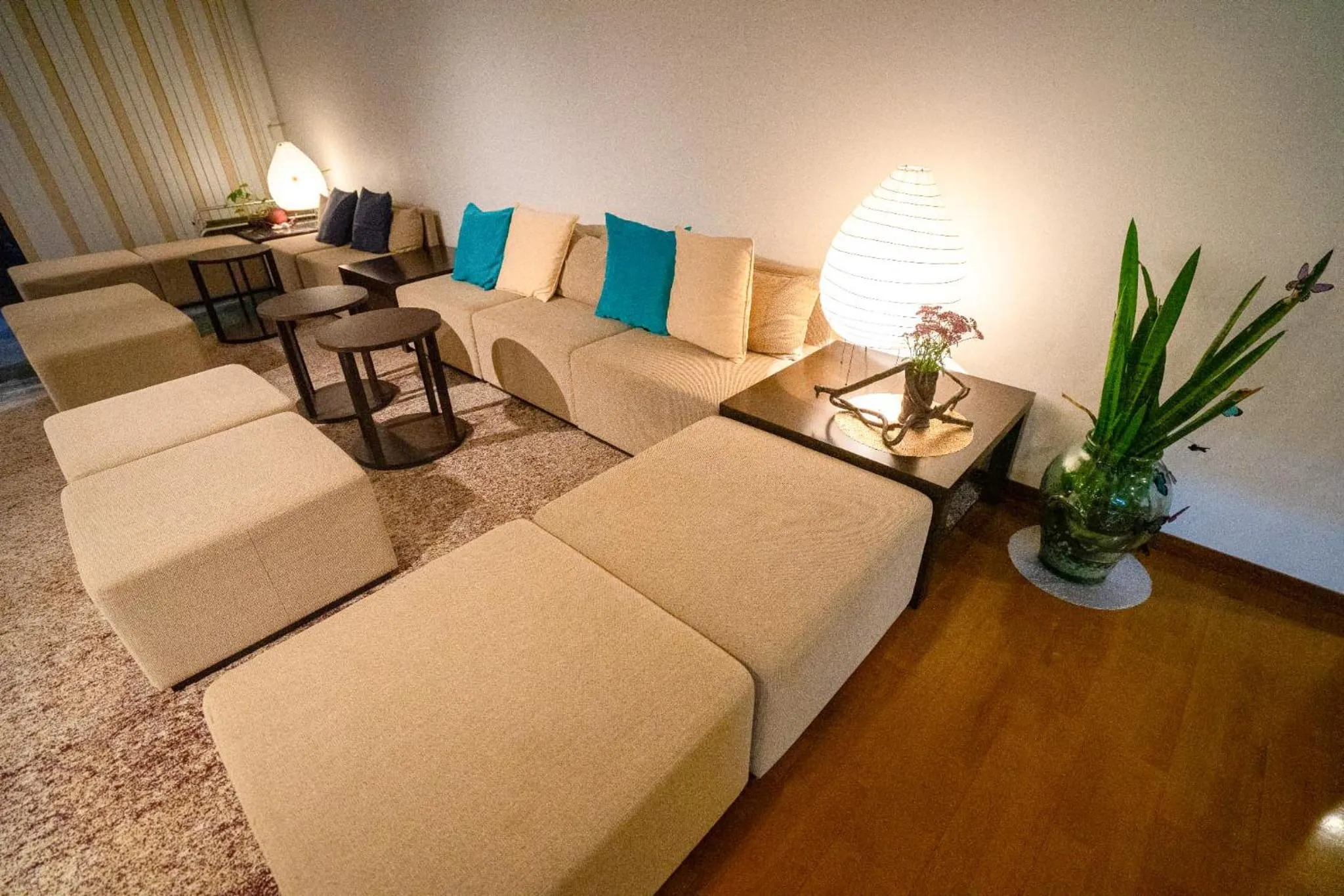 Area and facilities in Marine Blue Yakushima