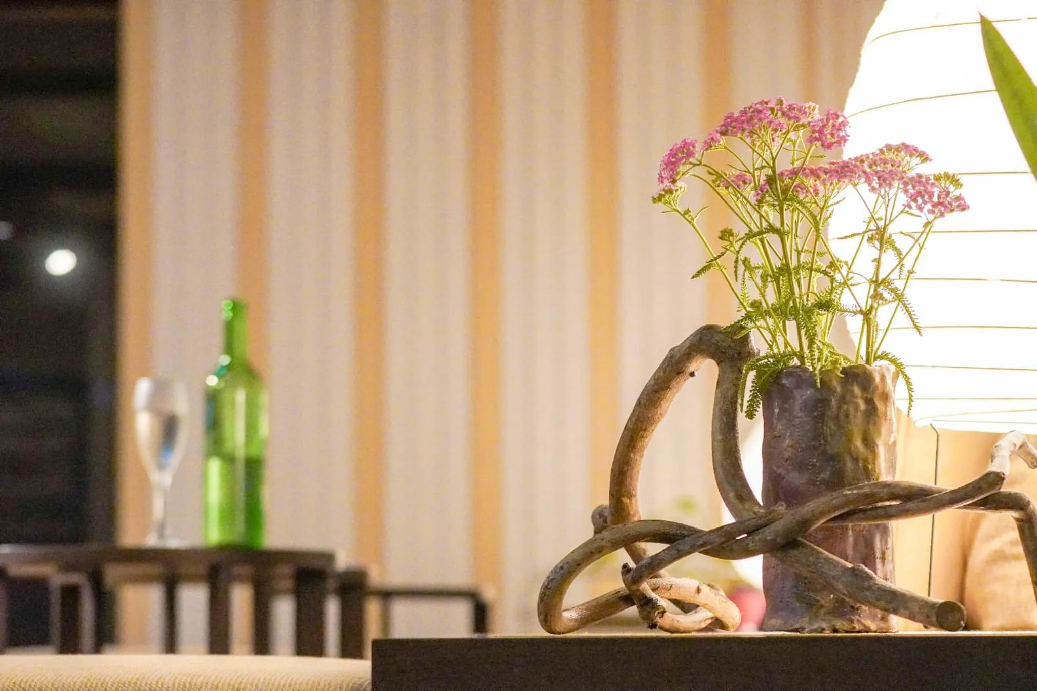 Area and facilities in Marine Blue Yakushima