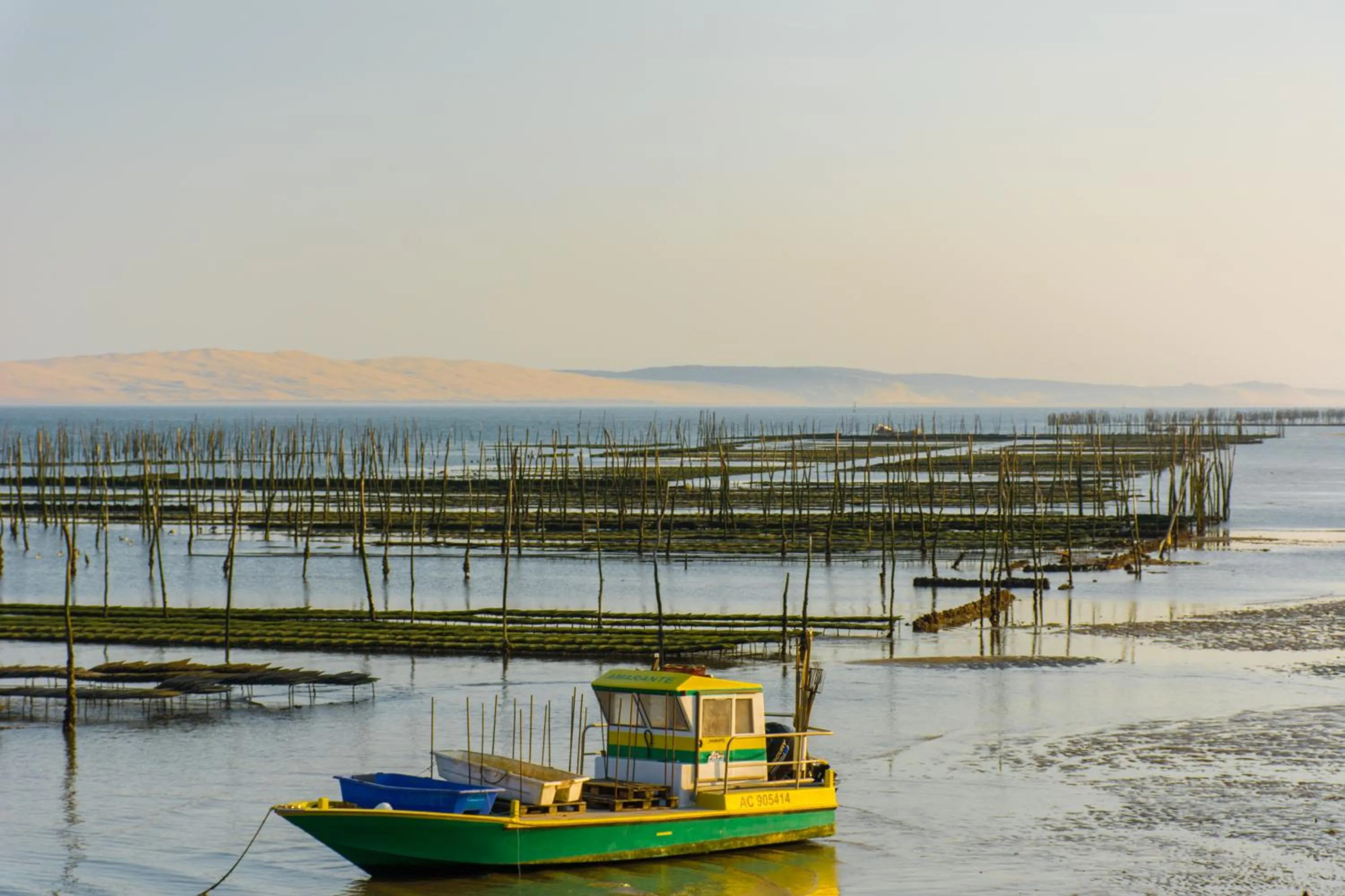 Other in Villa Donosti Chambres d'Hôtes
