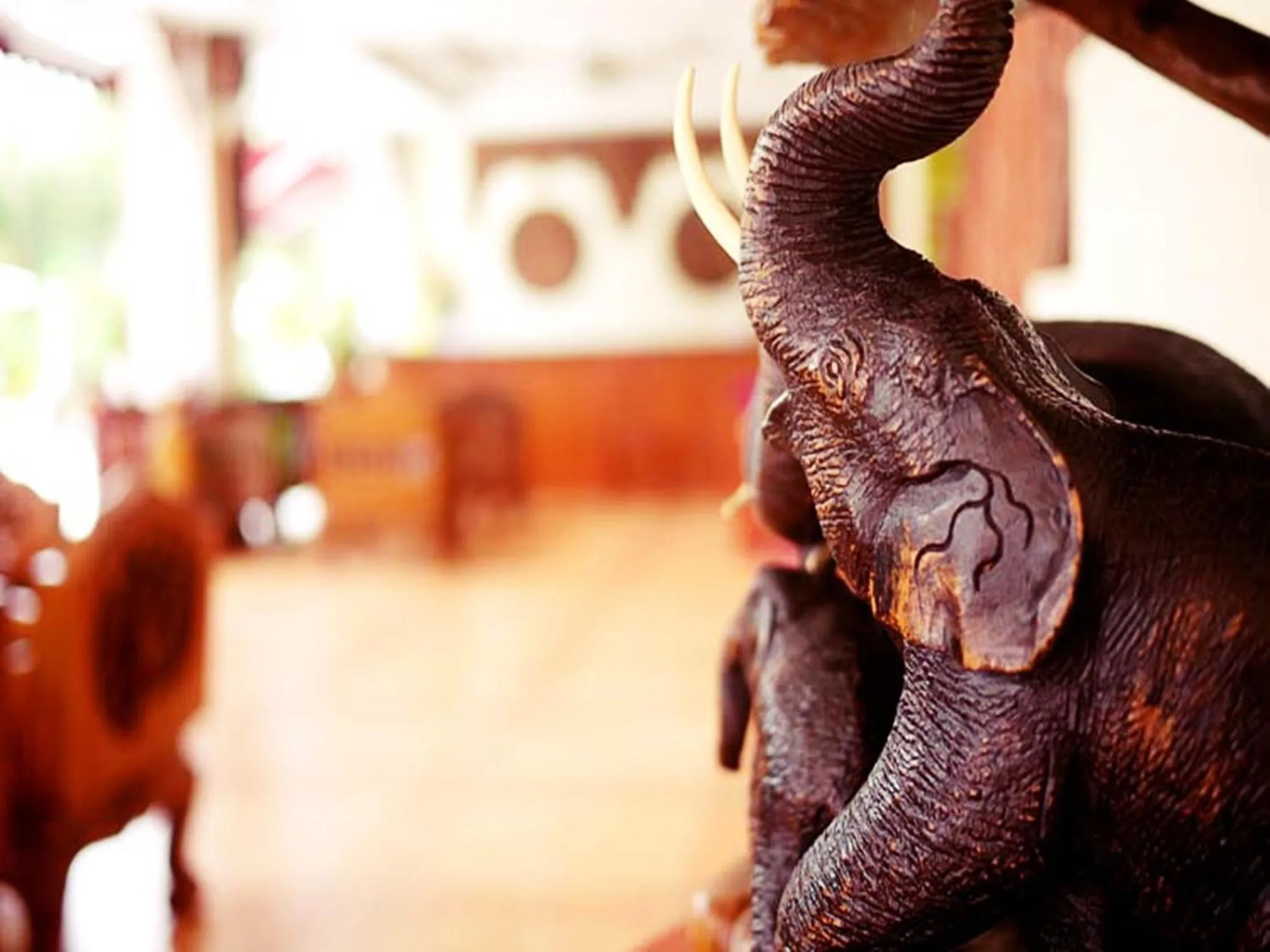 Lobby or reception in The Orchid House - SHA Extra Plus