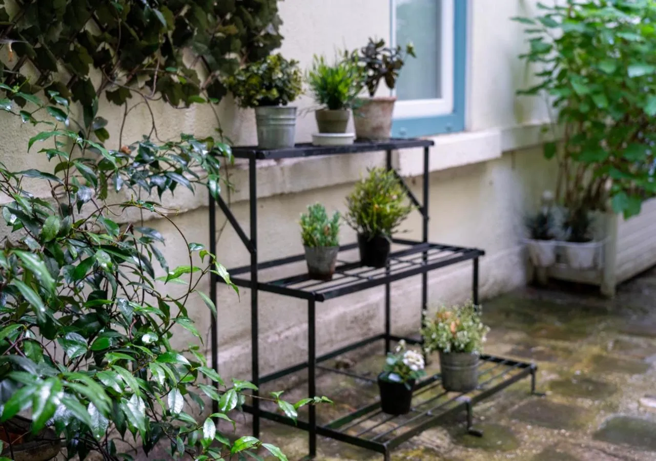 Garden in Nouvel Hôtel