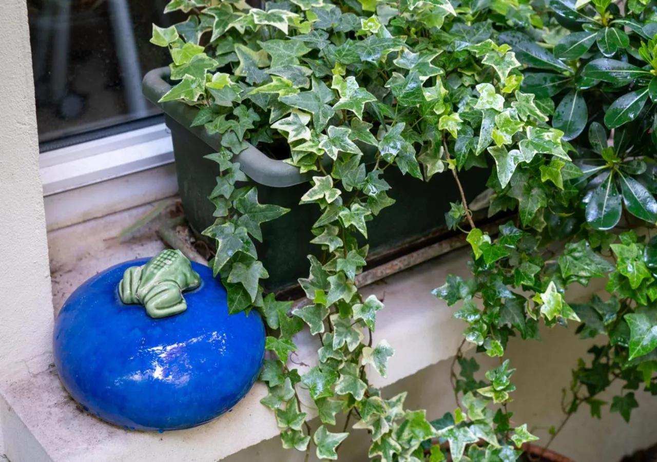 Garden in Nouvel Hôtel