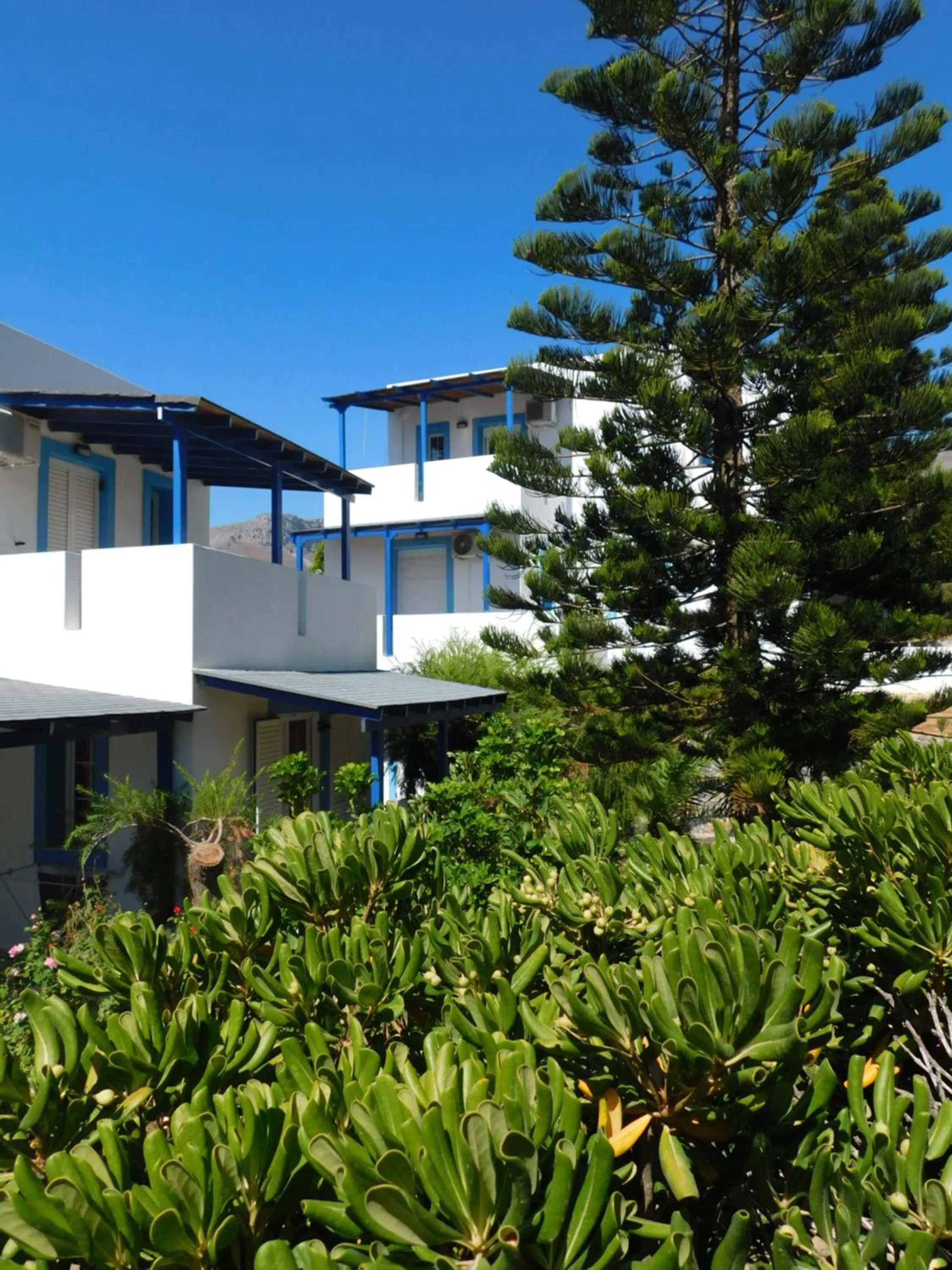 Balcony/Terrace in Anna Ageliki