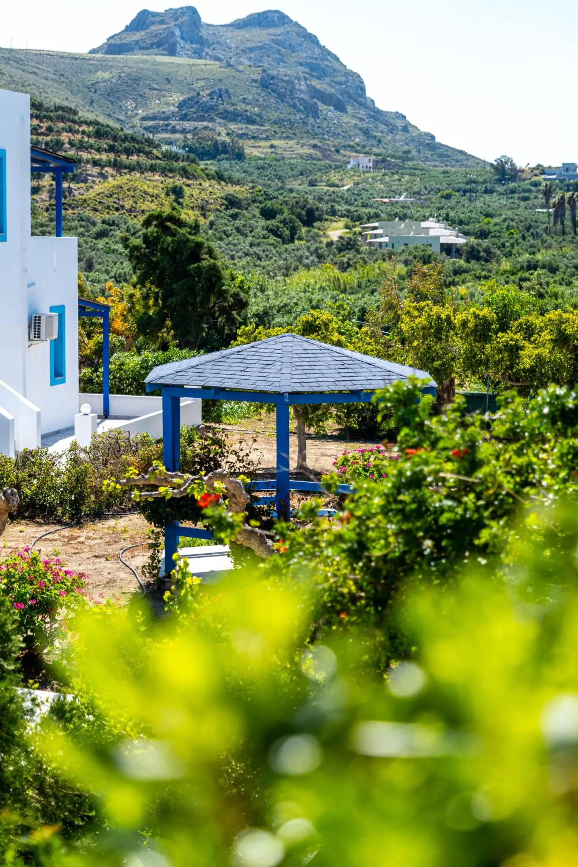 Garden in Anna Ageliki
