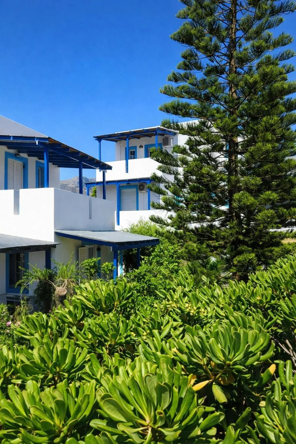 Property building in Anna Ageliki