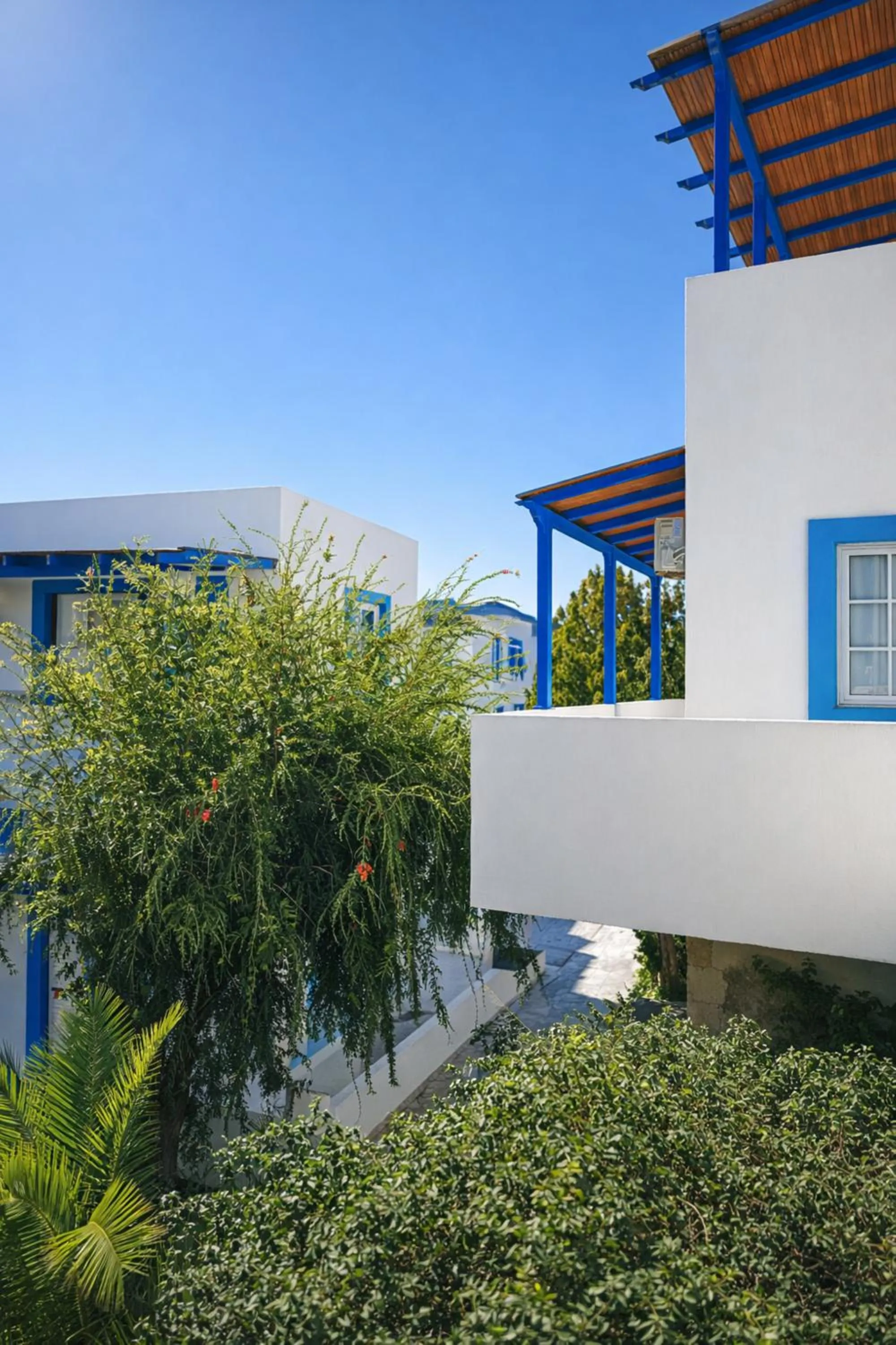 Property building in Anna Ageliki