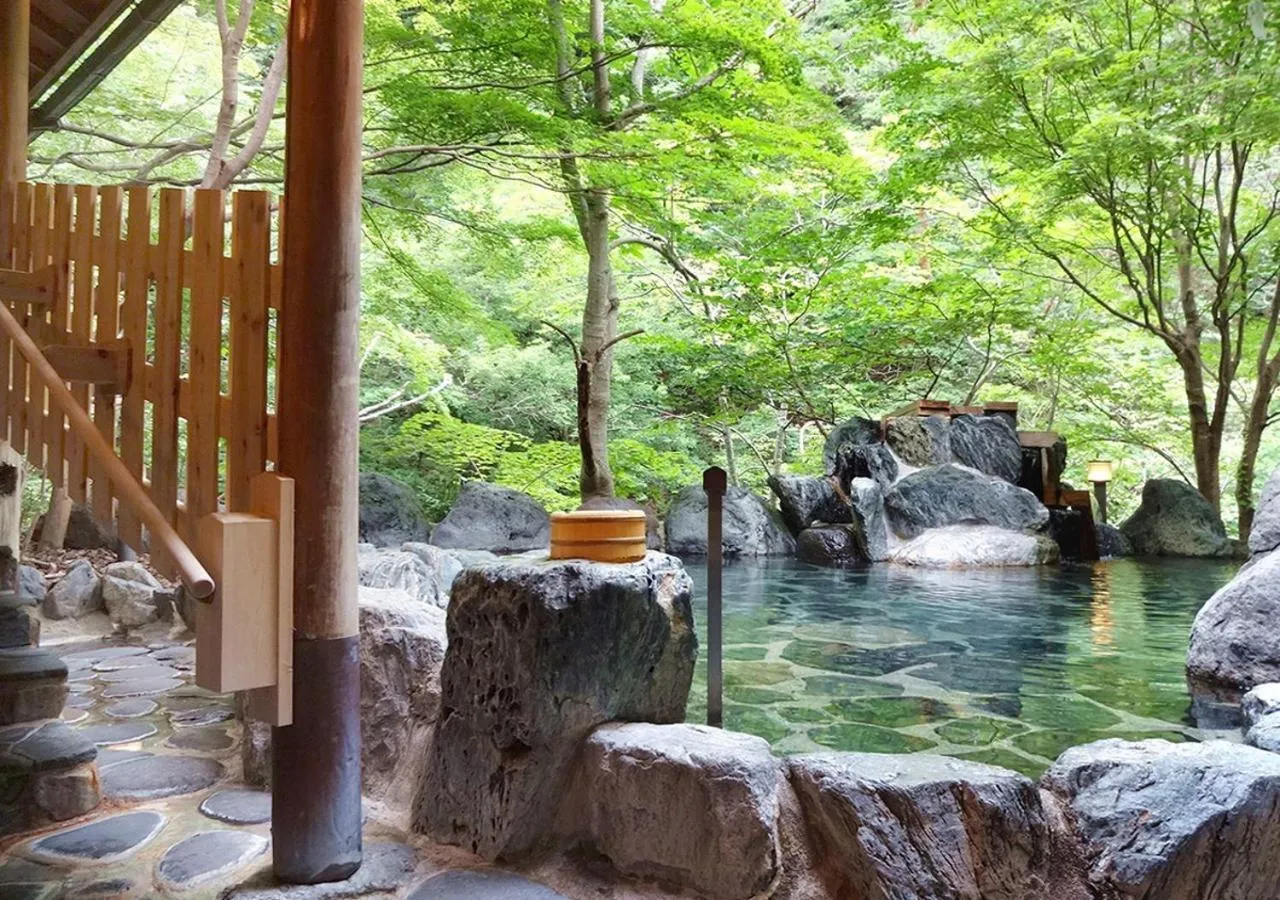 Open Air Bath in Hotel Yunishigawa