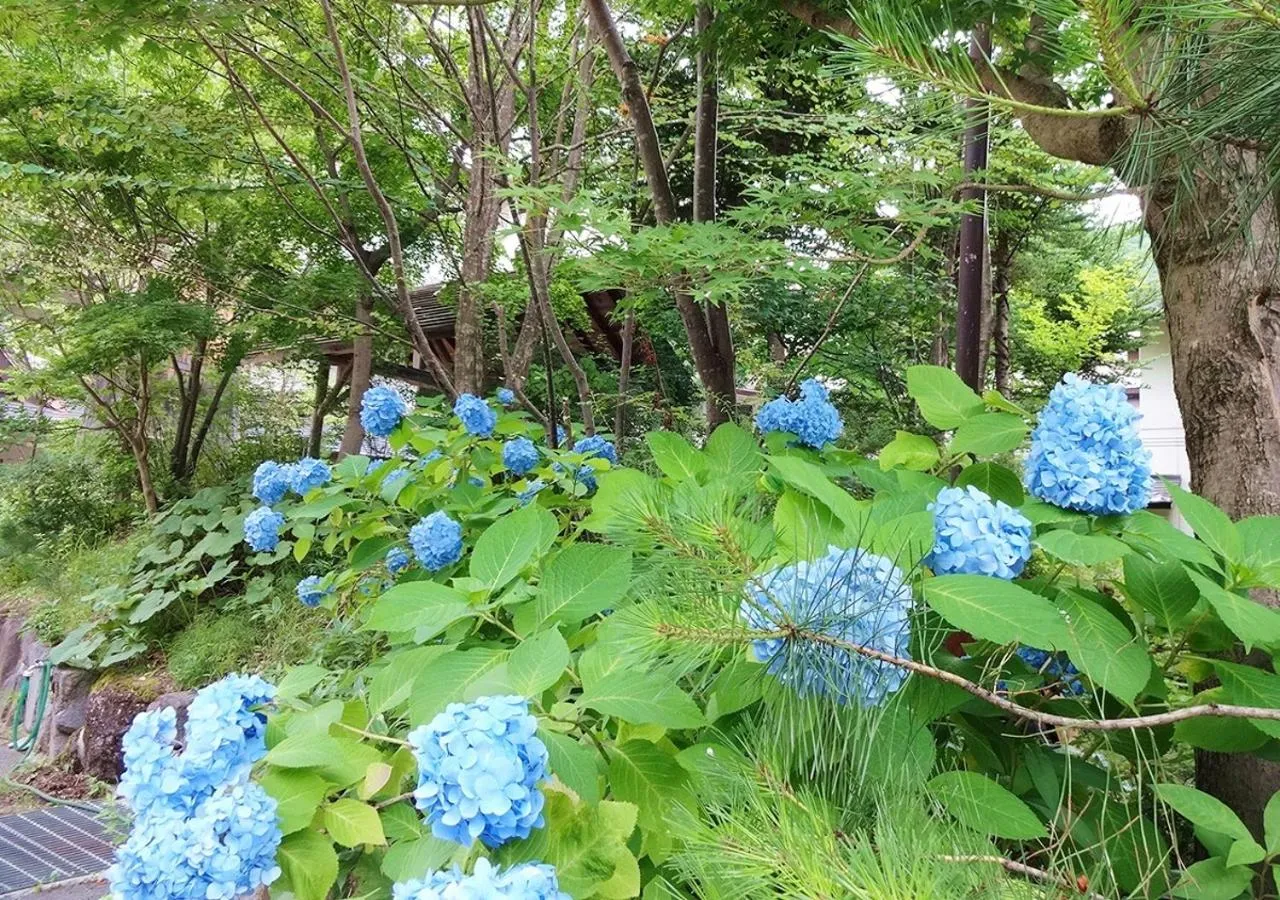 Garden in Hotel Yunishigawa