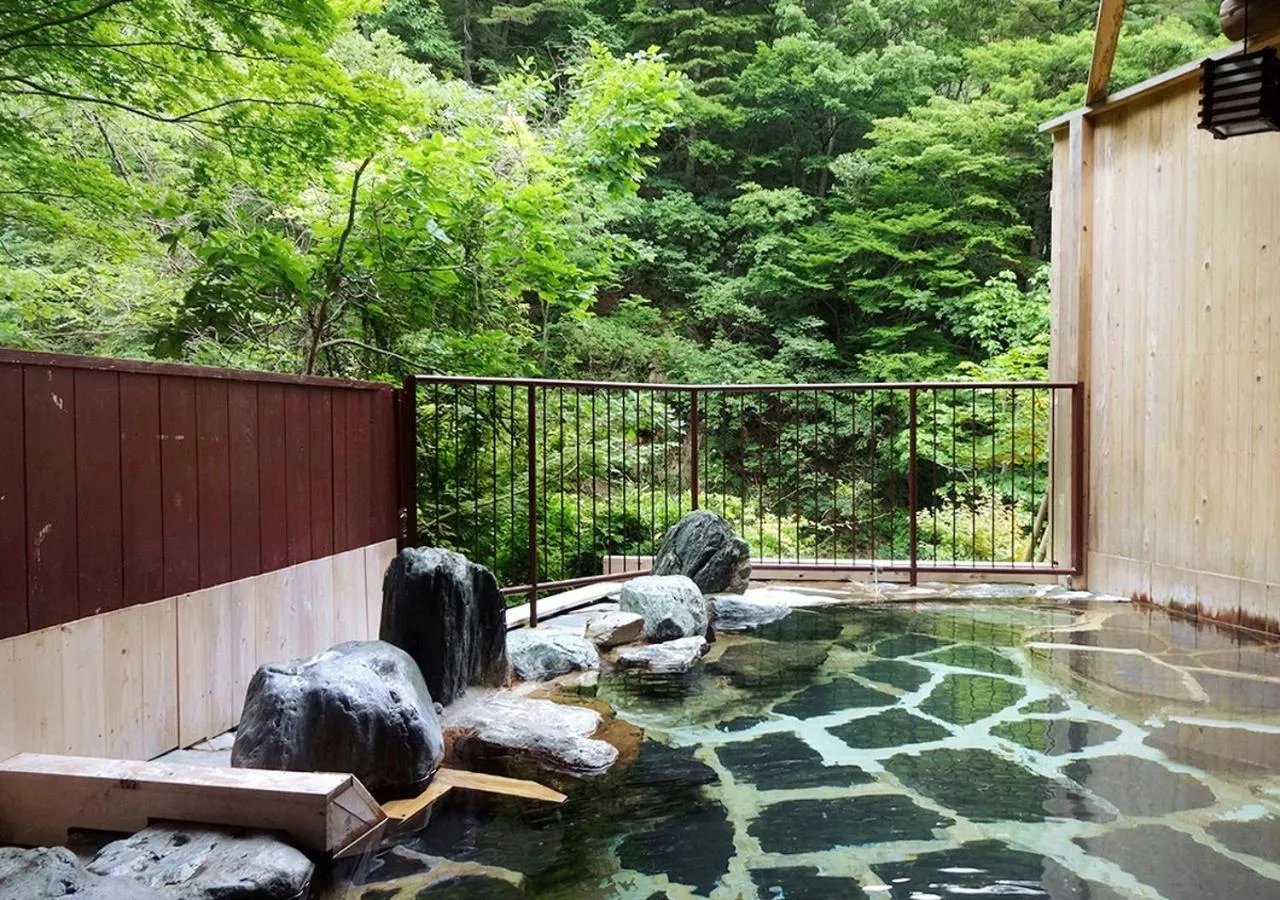 Open Air Bath in Hotel Yunishigawa