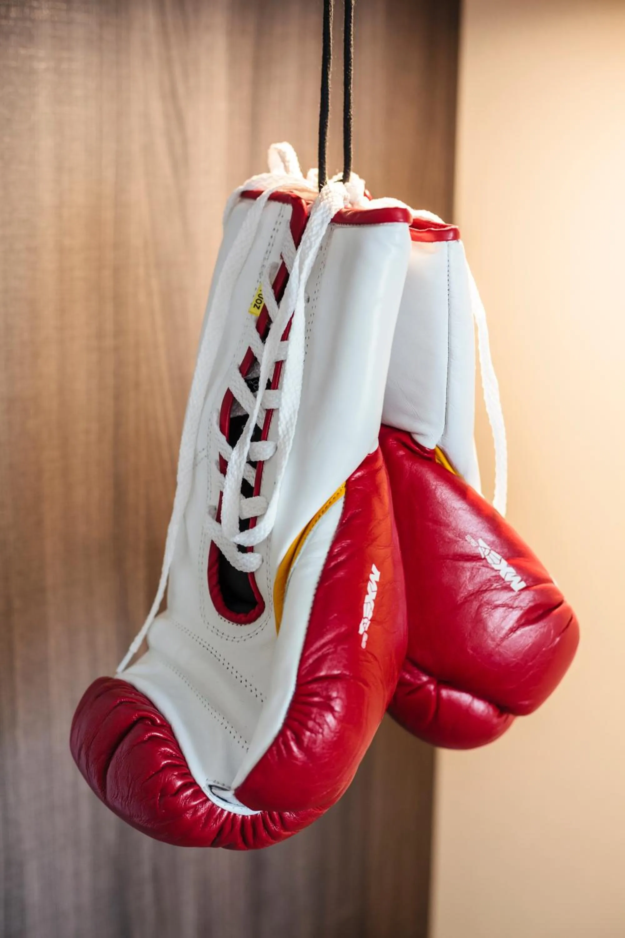 Decorative detail in Star Apart Hotel Sachsenhausen