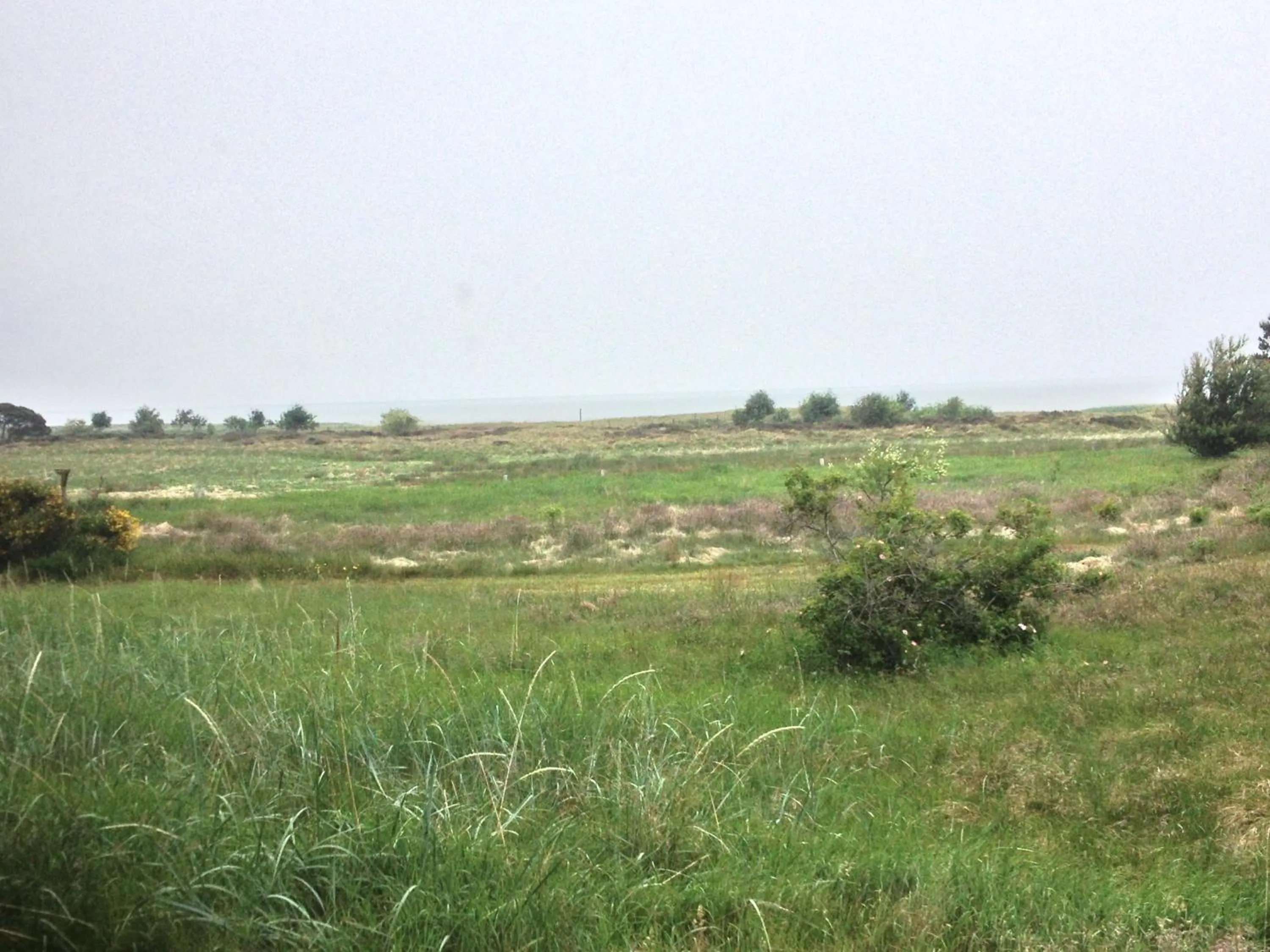 Natural landscape in Hotel Vadehavet