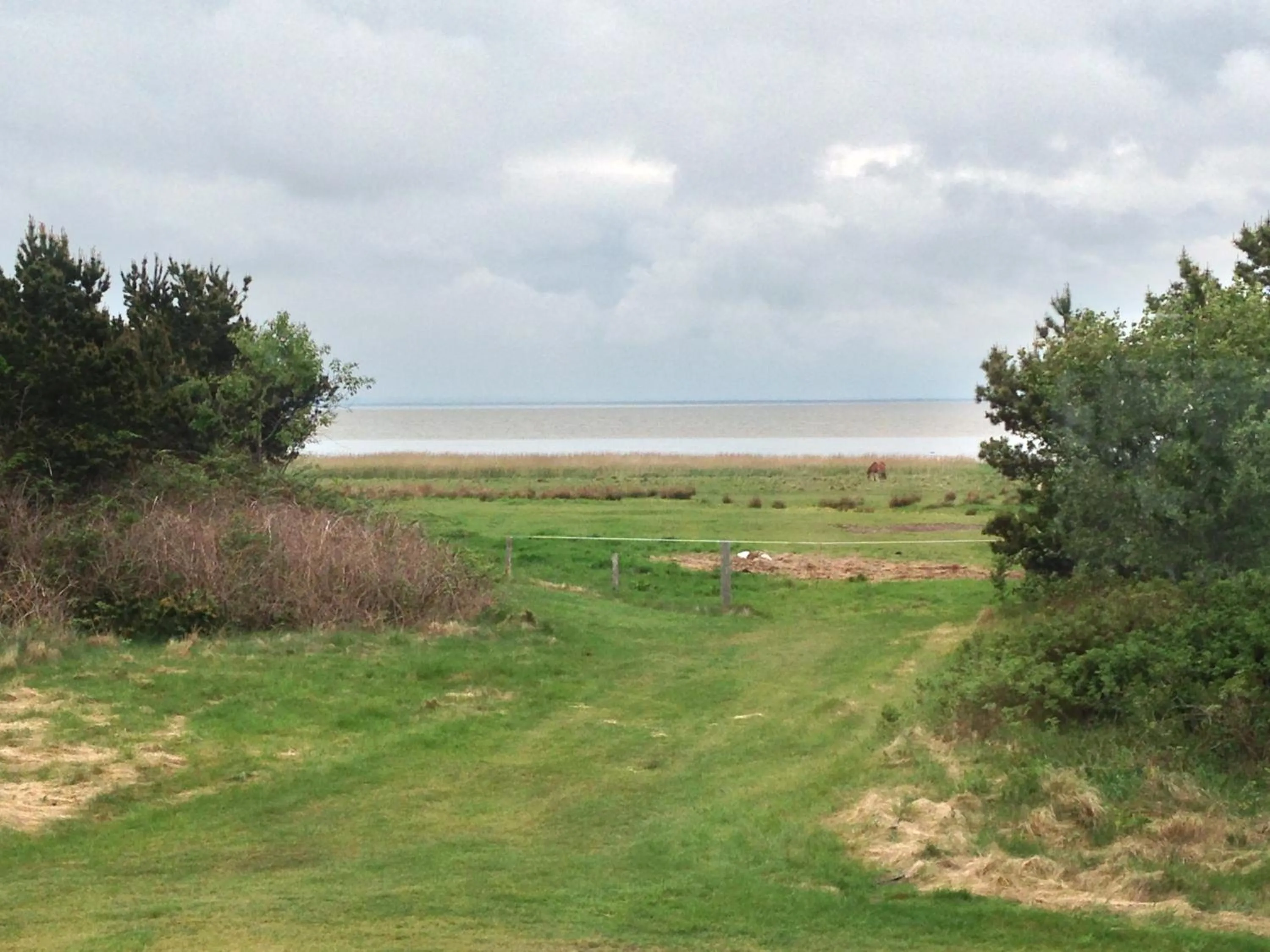 View (from property/room) in Hotel Vadehavet