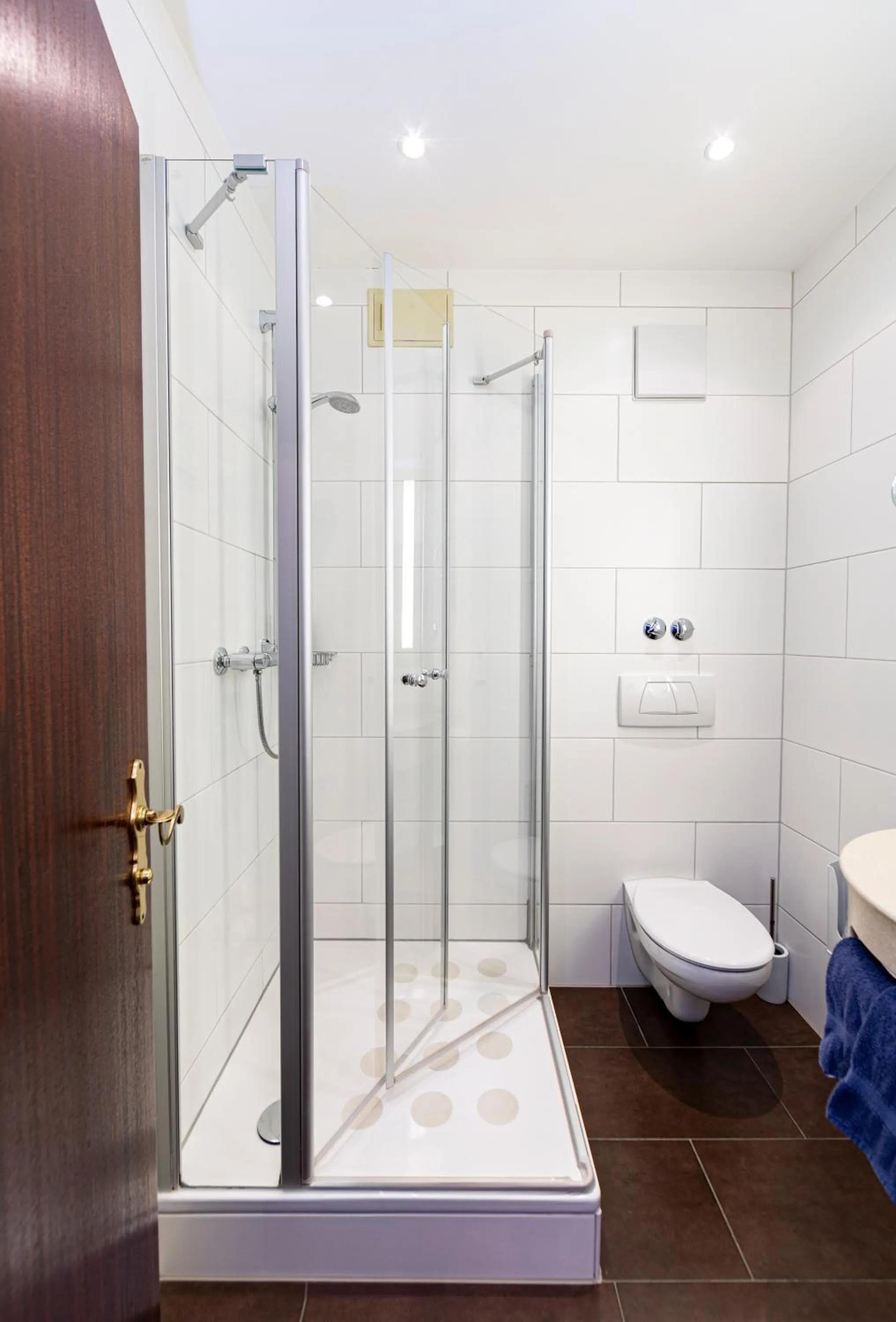 Shower in Königshof Bed and Breakfast