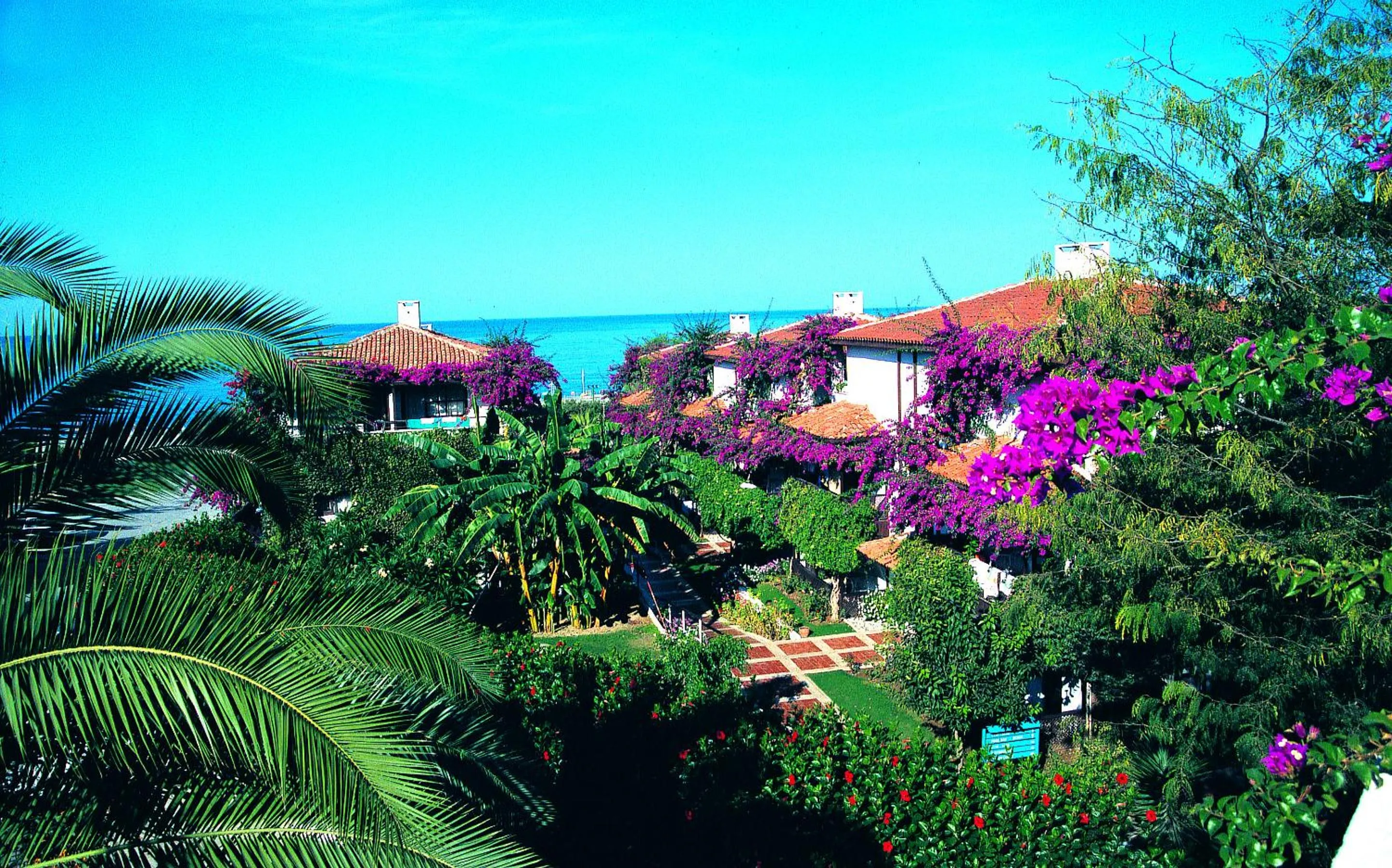 Club Titan Hotel Ultra All Inclusive