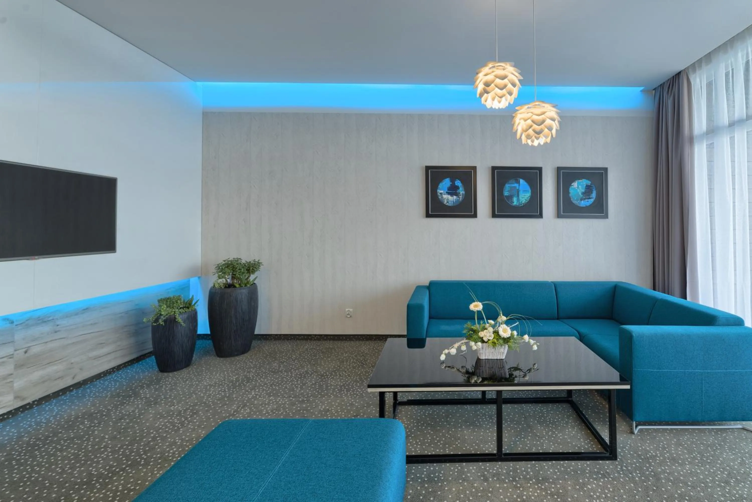 Photo of the whole room in Hotel Scout