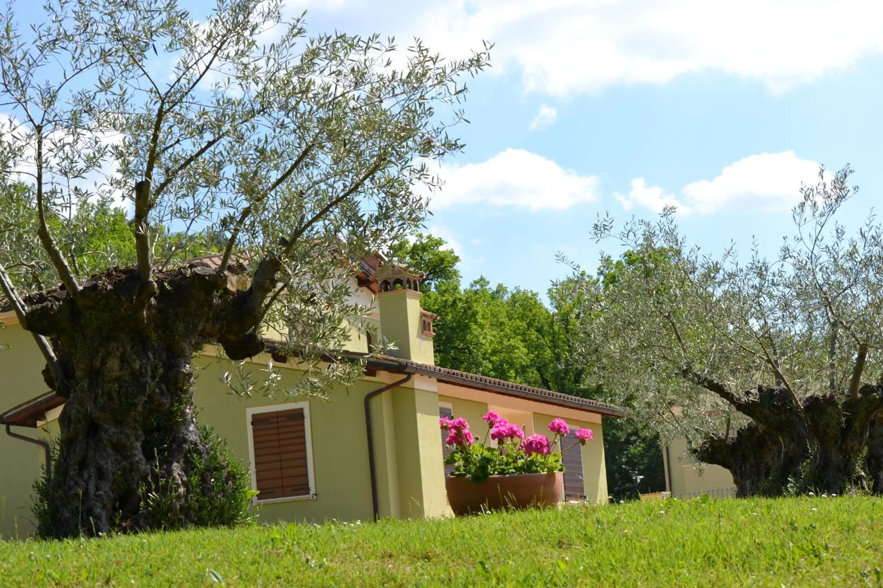 Garden in Valle Rosa