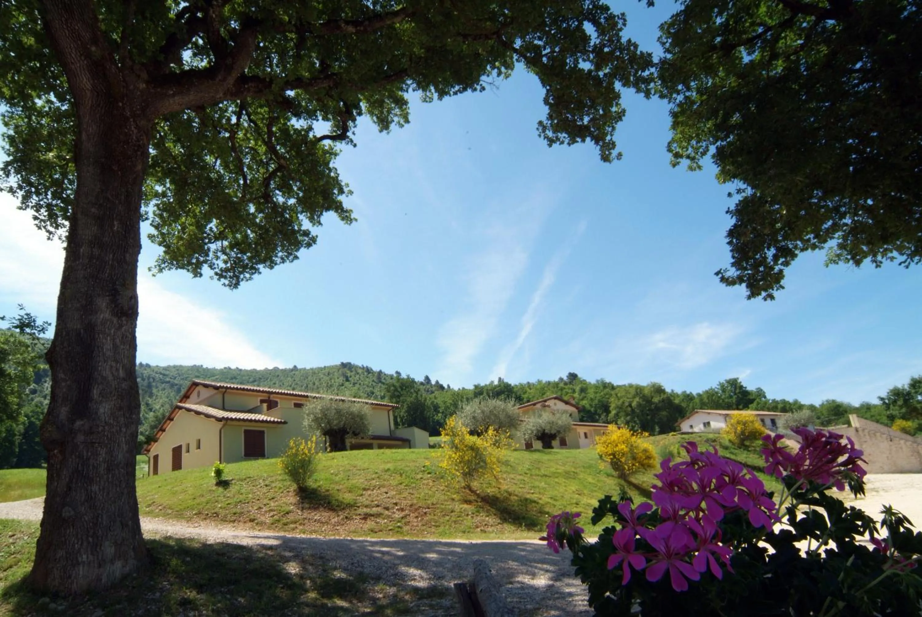 View (from property/room) in Valle Rosa