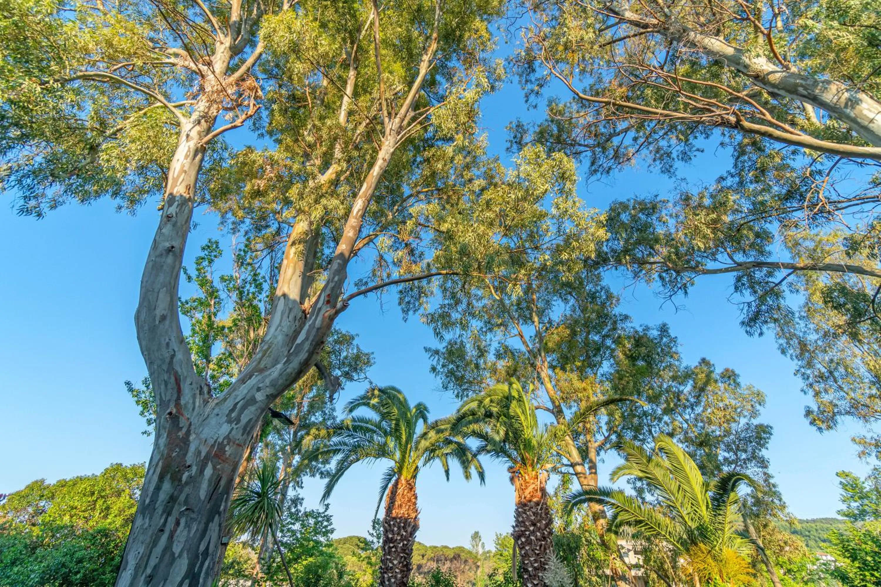 Natural landscape in Arco Beach Hotel