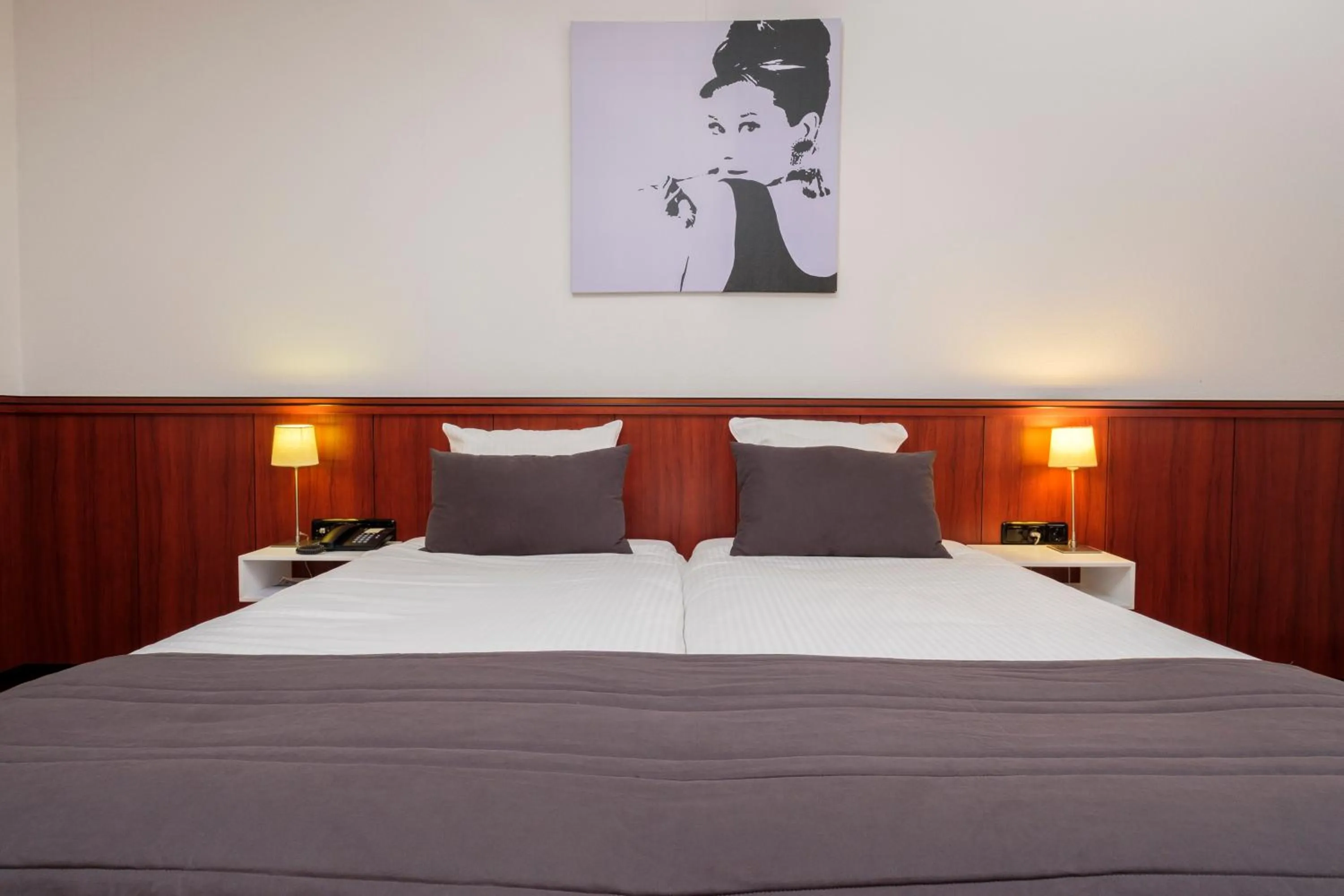 Bed in Hotel De Schildkamp