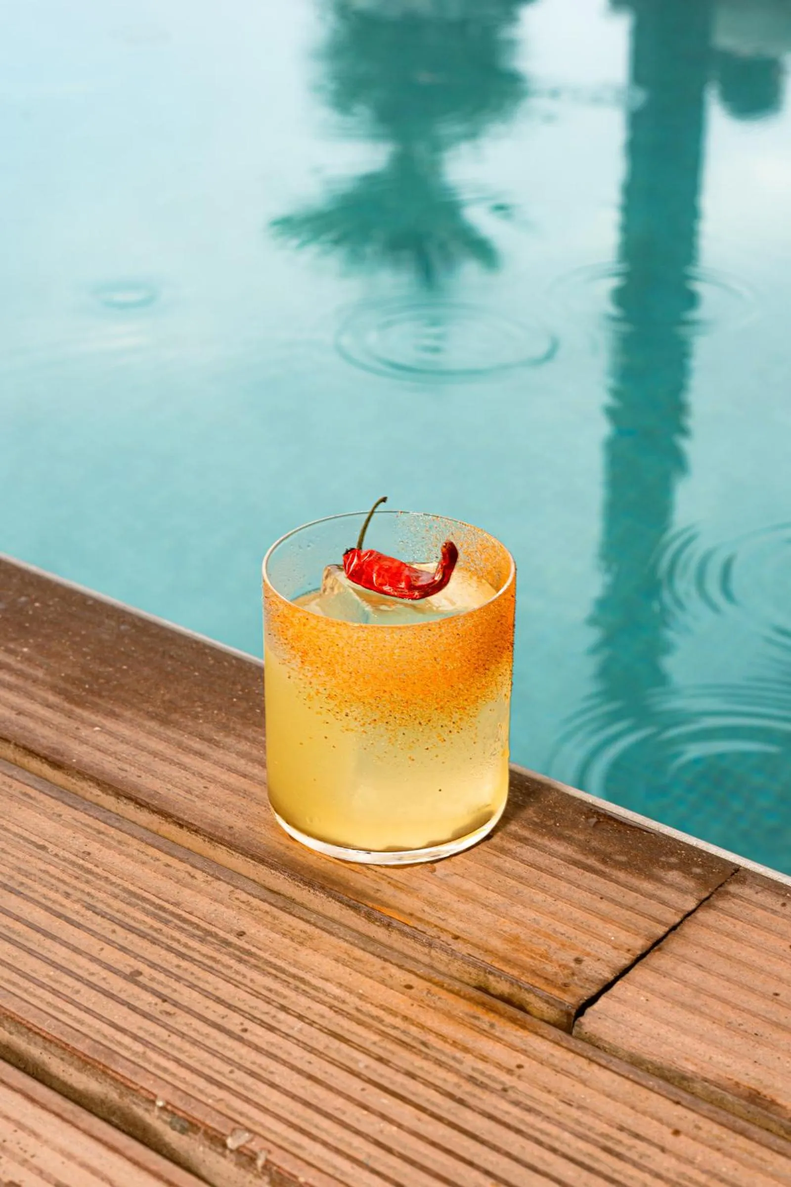 Drinks in The Social Hub Florence Lavagnini