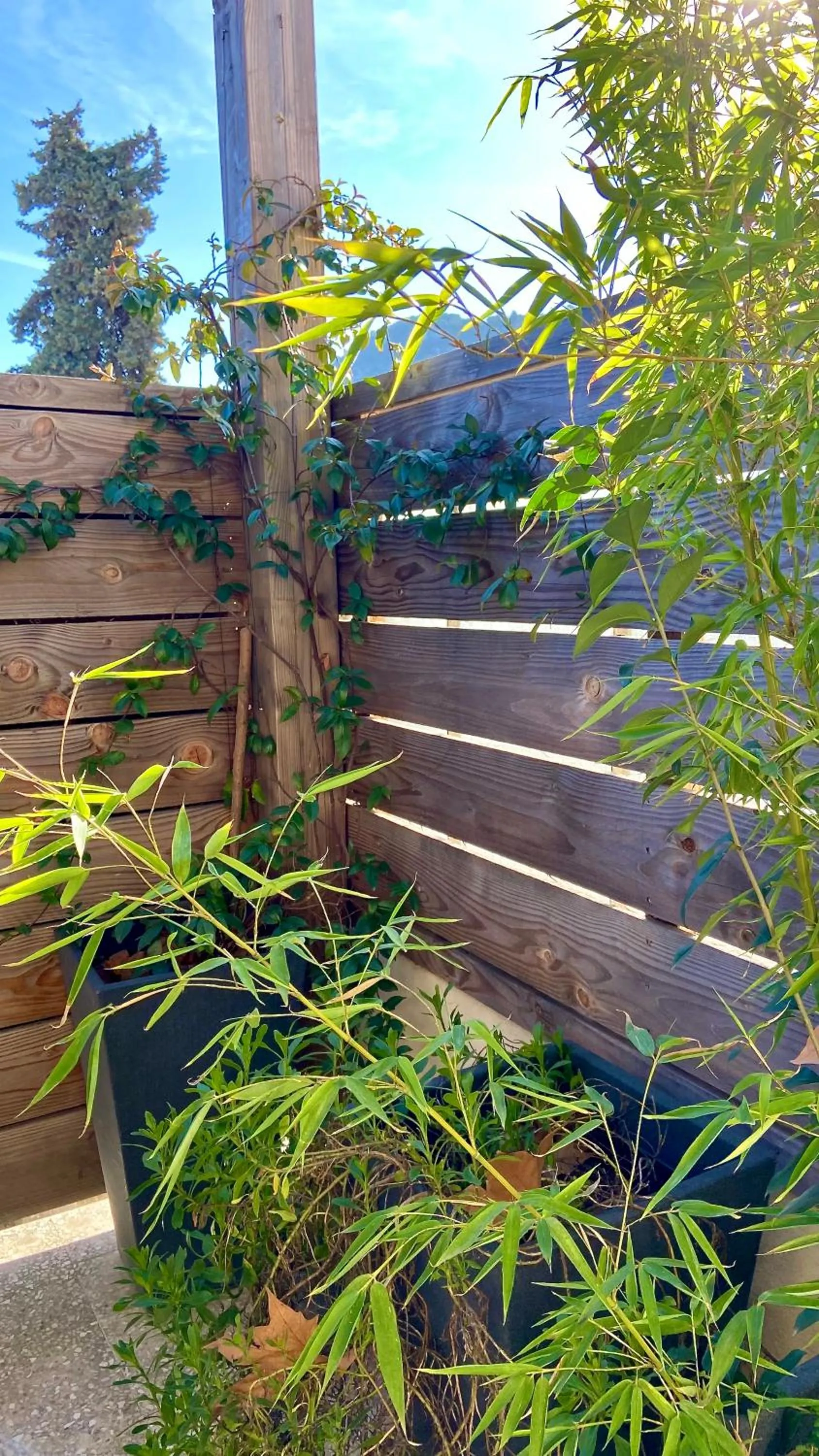 Balcony/Terrace in B&B Maison d'Hôtes - Château de Jouques