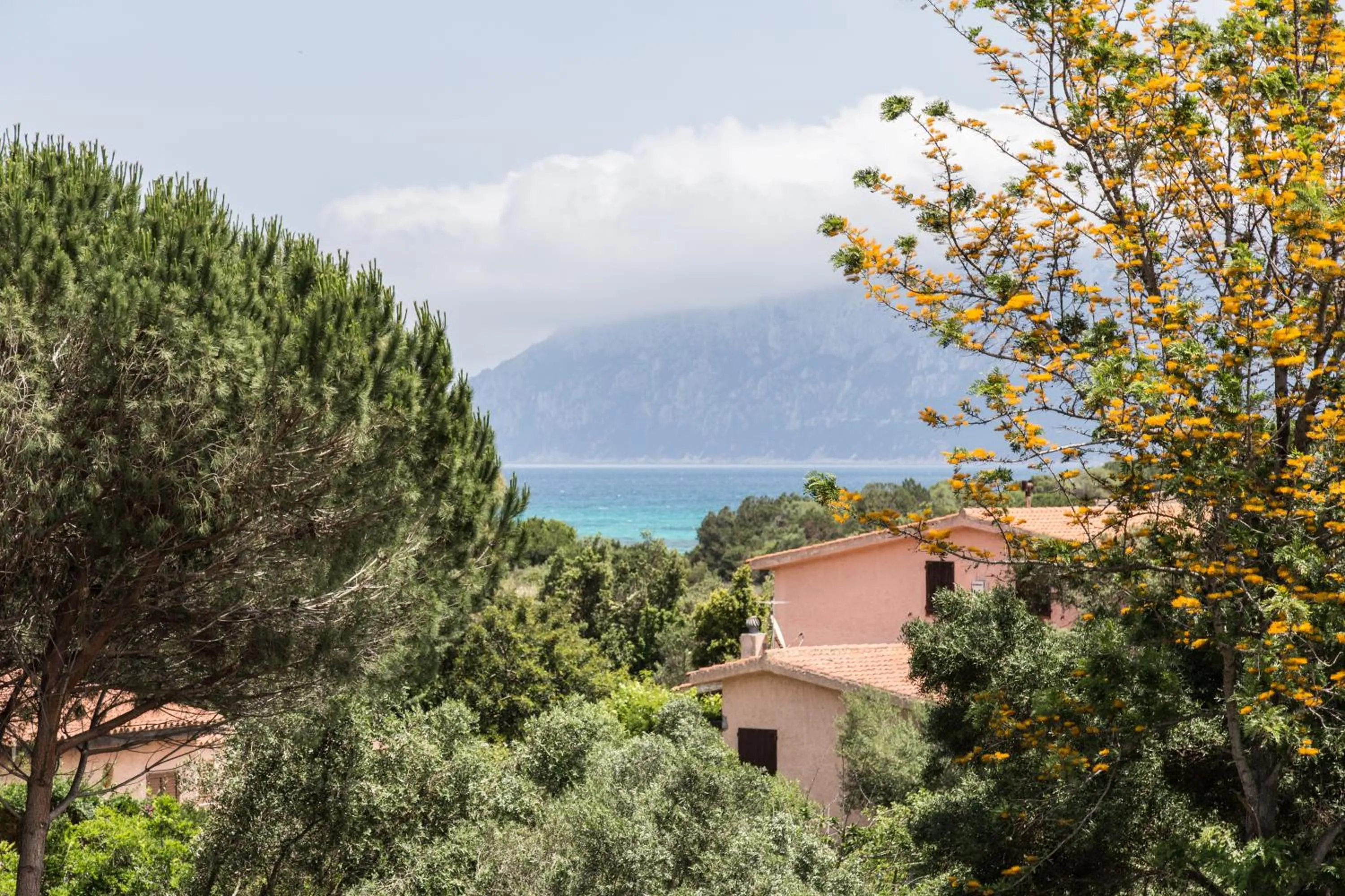 Natural landscape in White Sand Residence