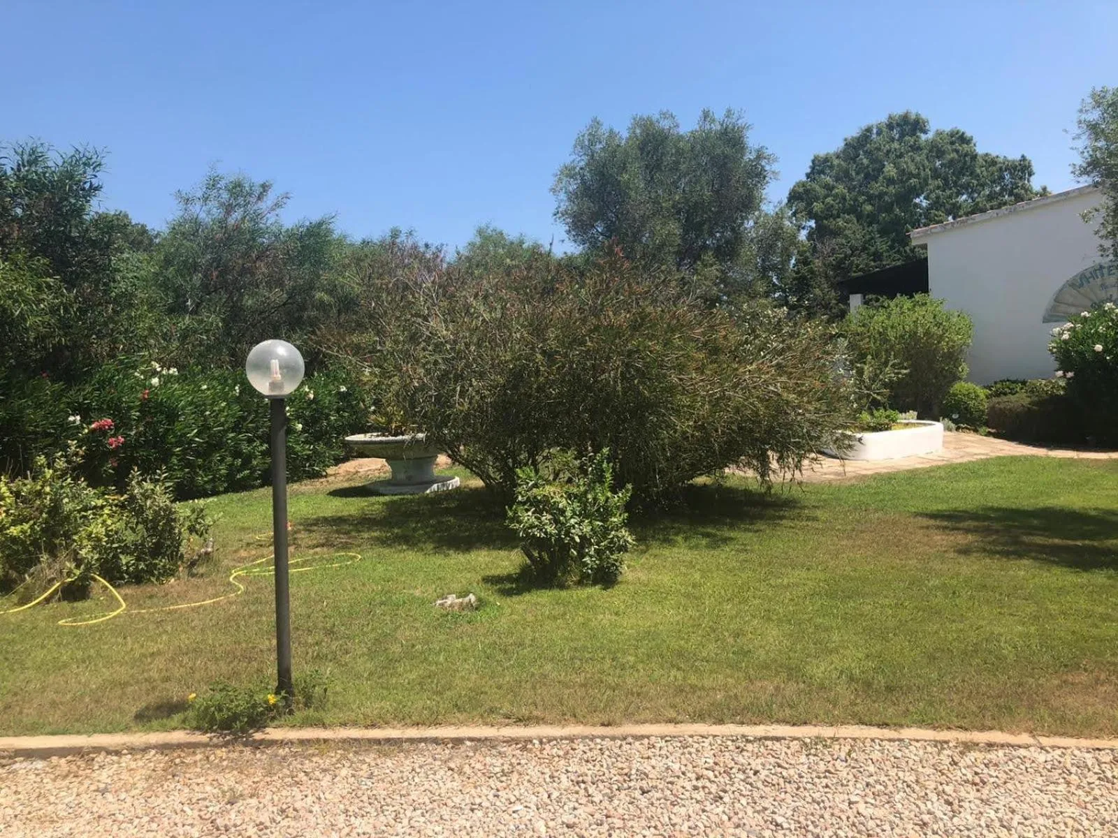 Garden in White Sand Residence