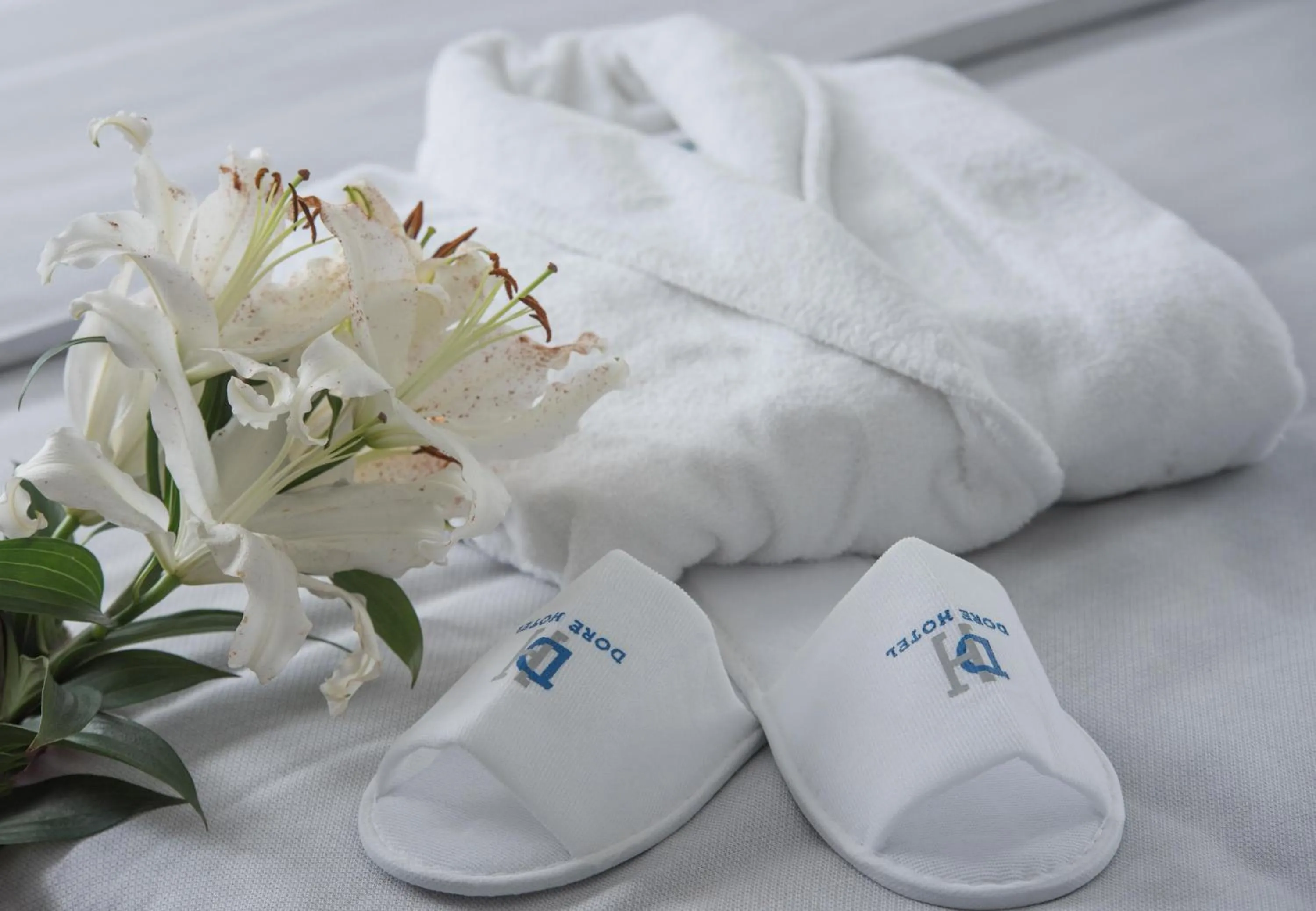 Photo of the whole room in Dore Boutique Hotel