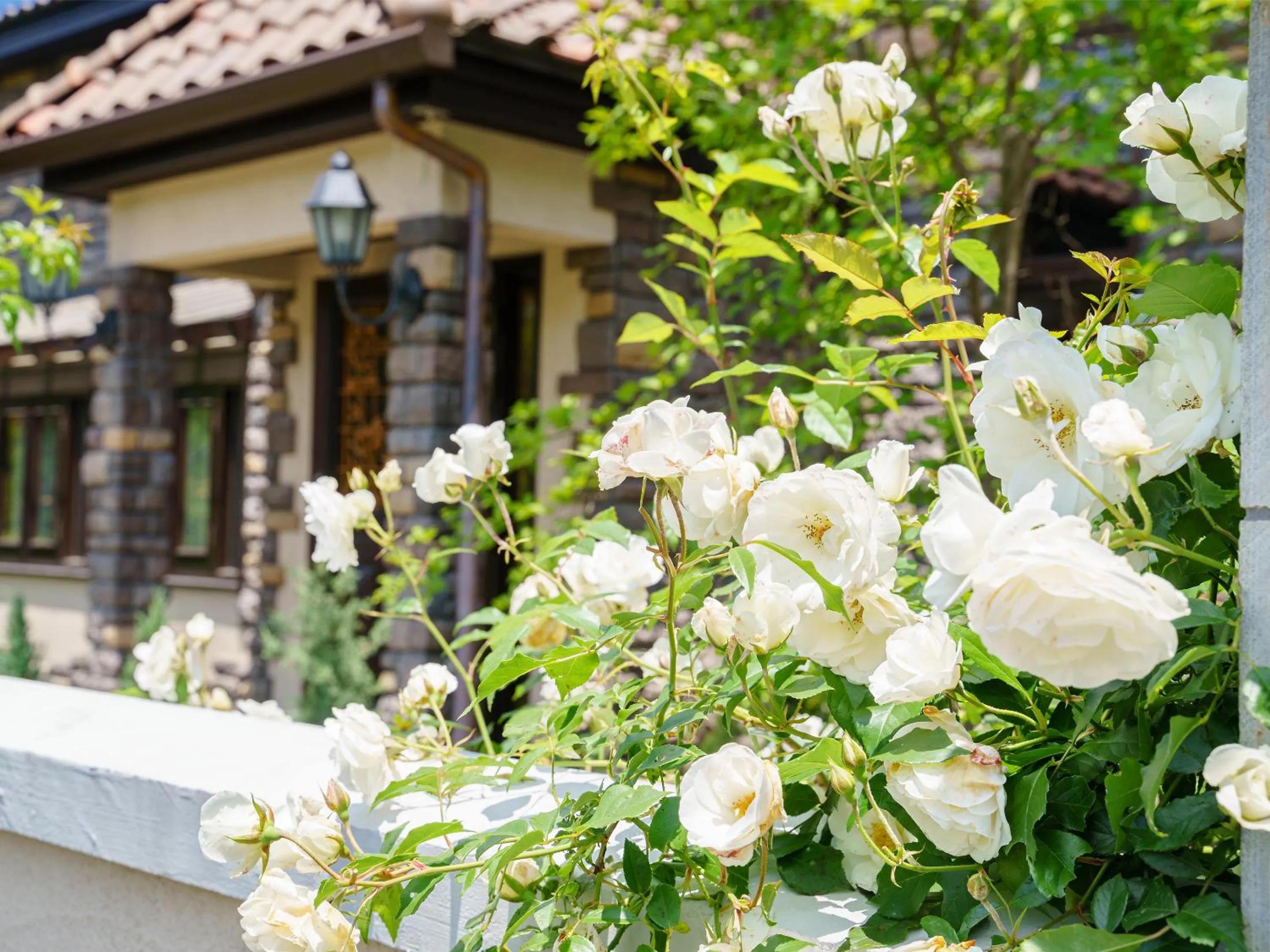 Garden in Le Grand Karuizawa Hotel and Resort