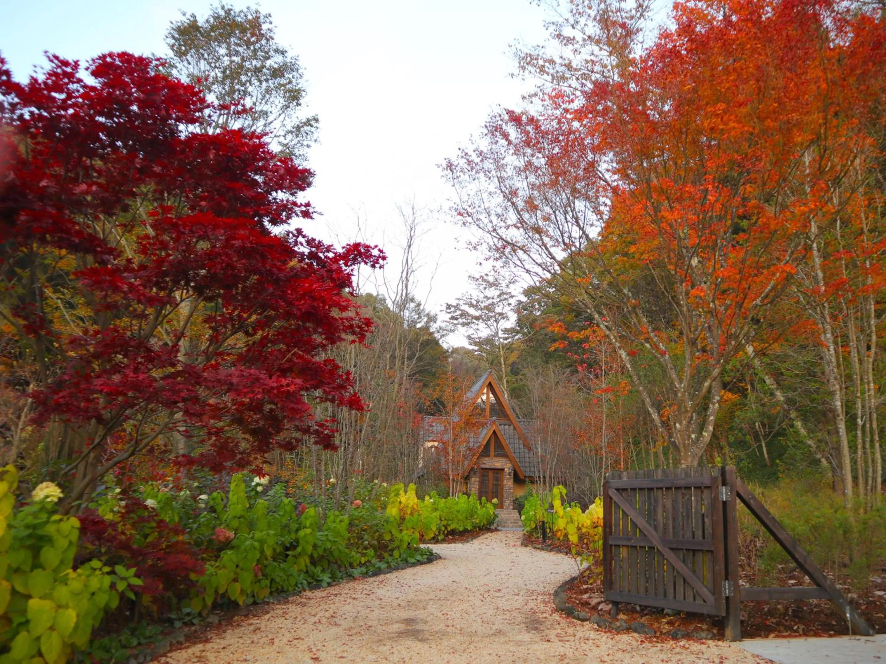 Garden in Le Grand Karuizawa Hotel and Resort