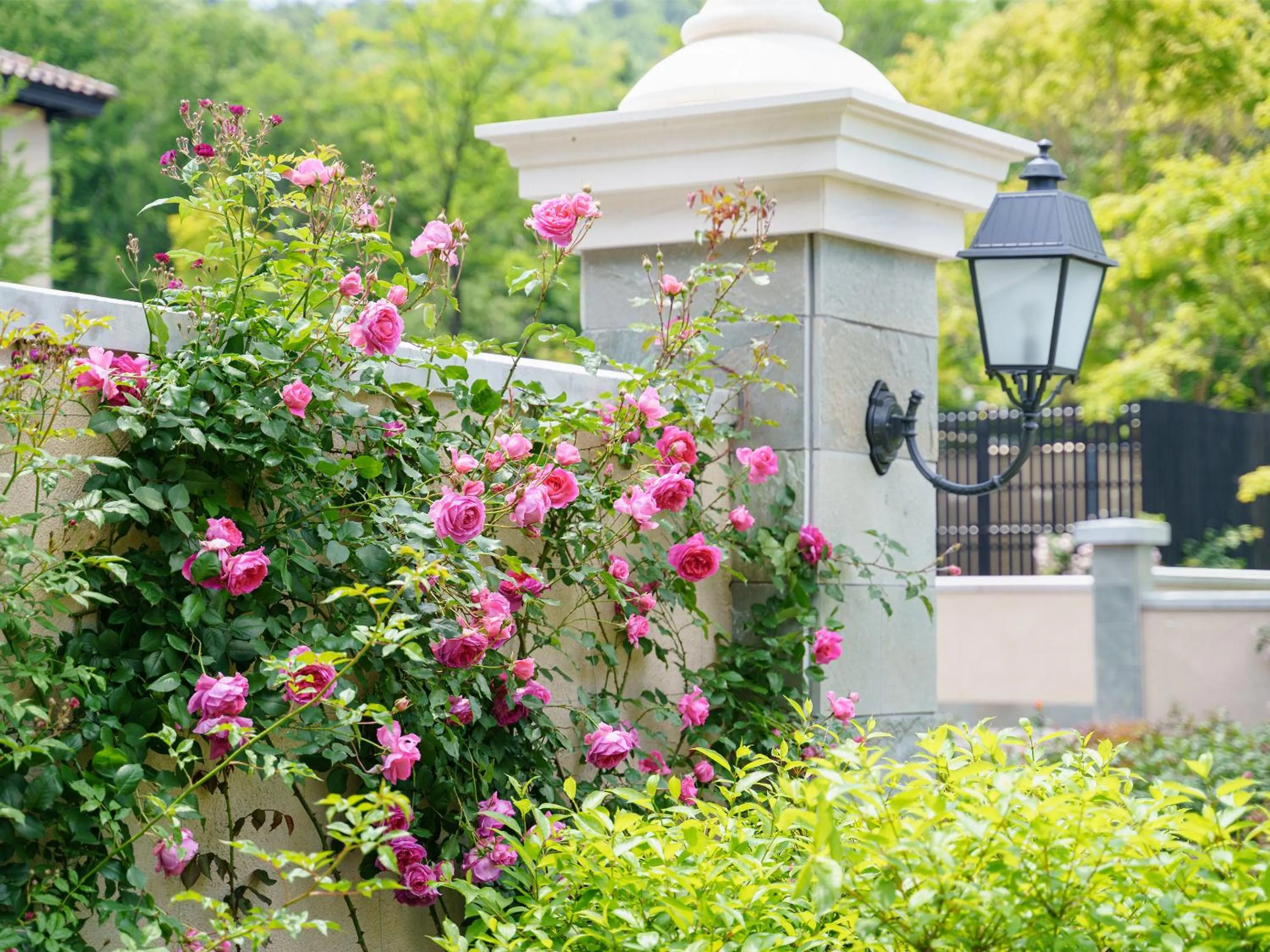 Area and facilities in Le Grand Karuizawa Hotel and Resort